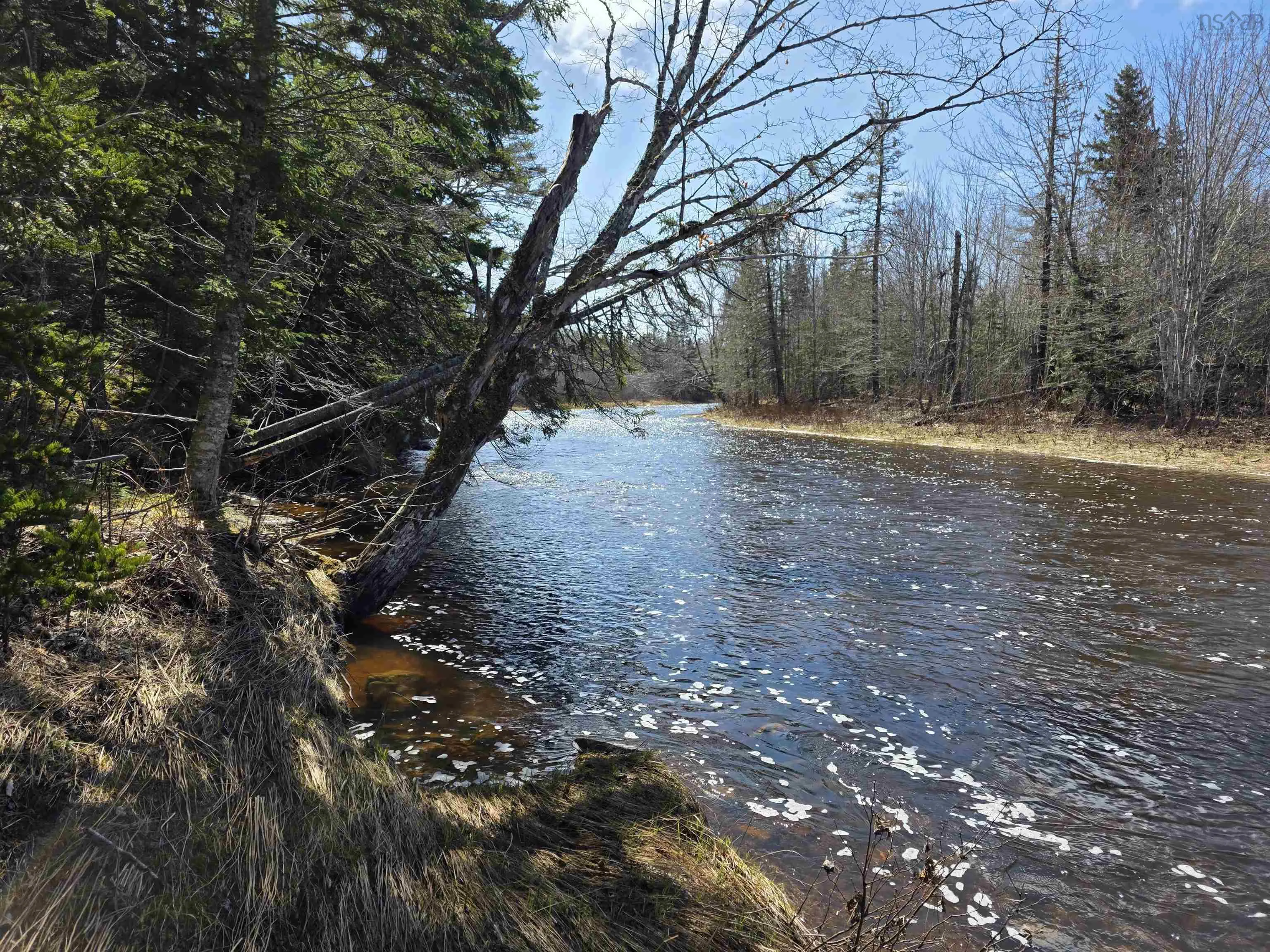 Macleod Settlement Road, Upper Southwest Mabou Ns B0e 2w0, ,Land,For Sale,Macleod Settlement,202509856