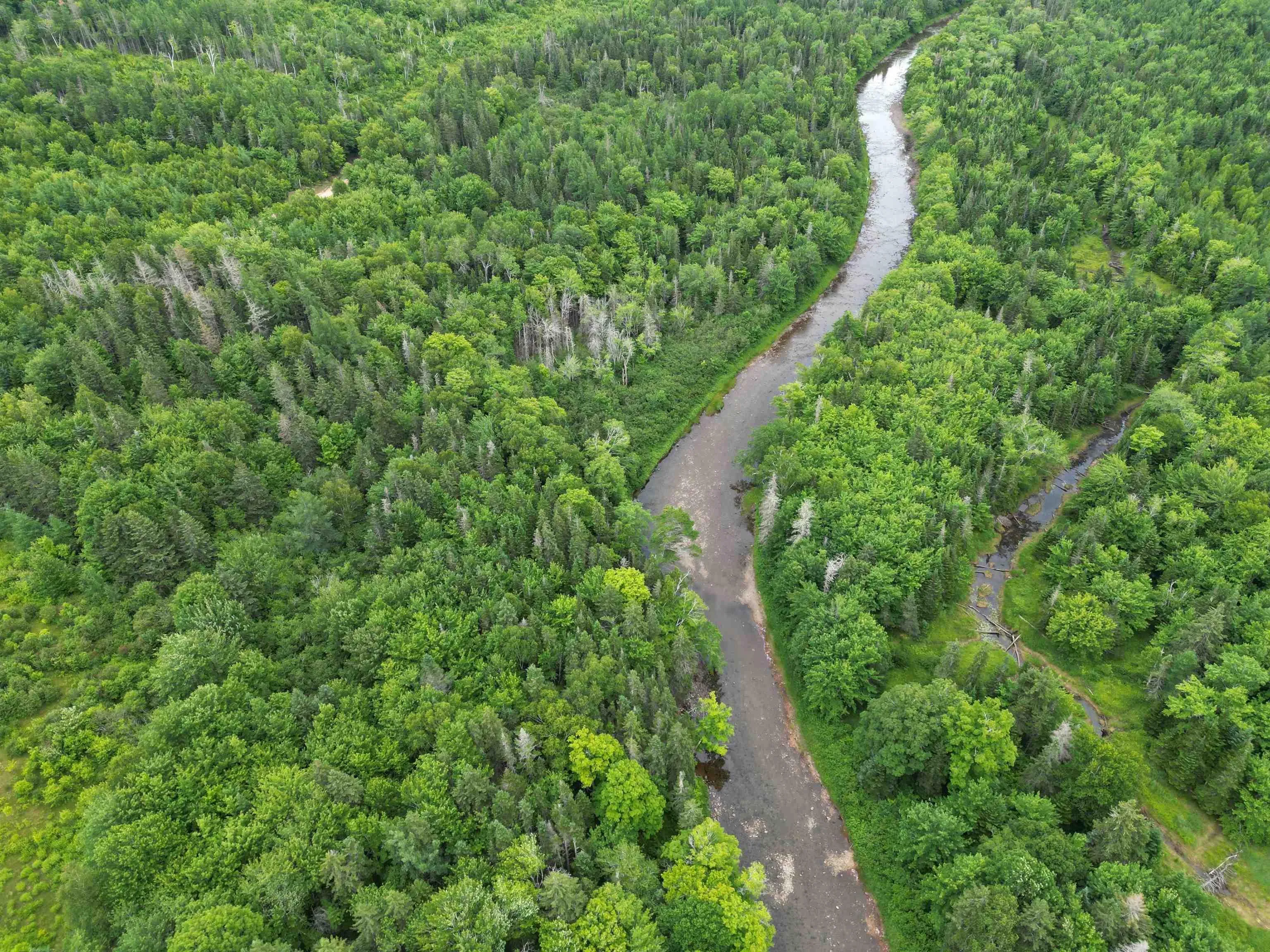 Macleod Settlement Road, Upper Southwest Mabou Ns B0e 2w0, ,Land,For Sale,Macleod Settlement,202509856