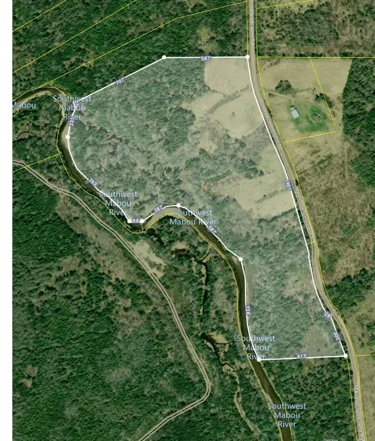 Macleod Settlement Road, Upper Southwest Mabou Ns B0e 2w0, ,Land,For Sale,Macleod Settlement,202509856