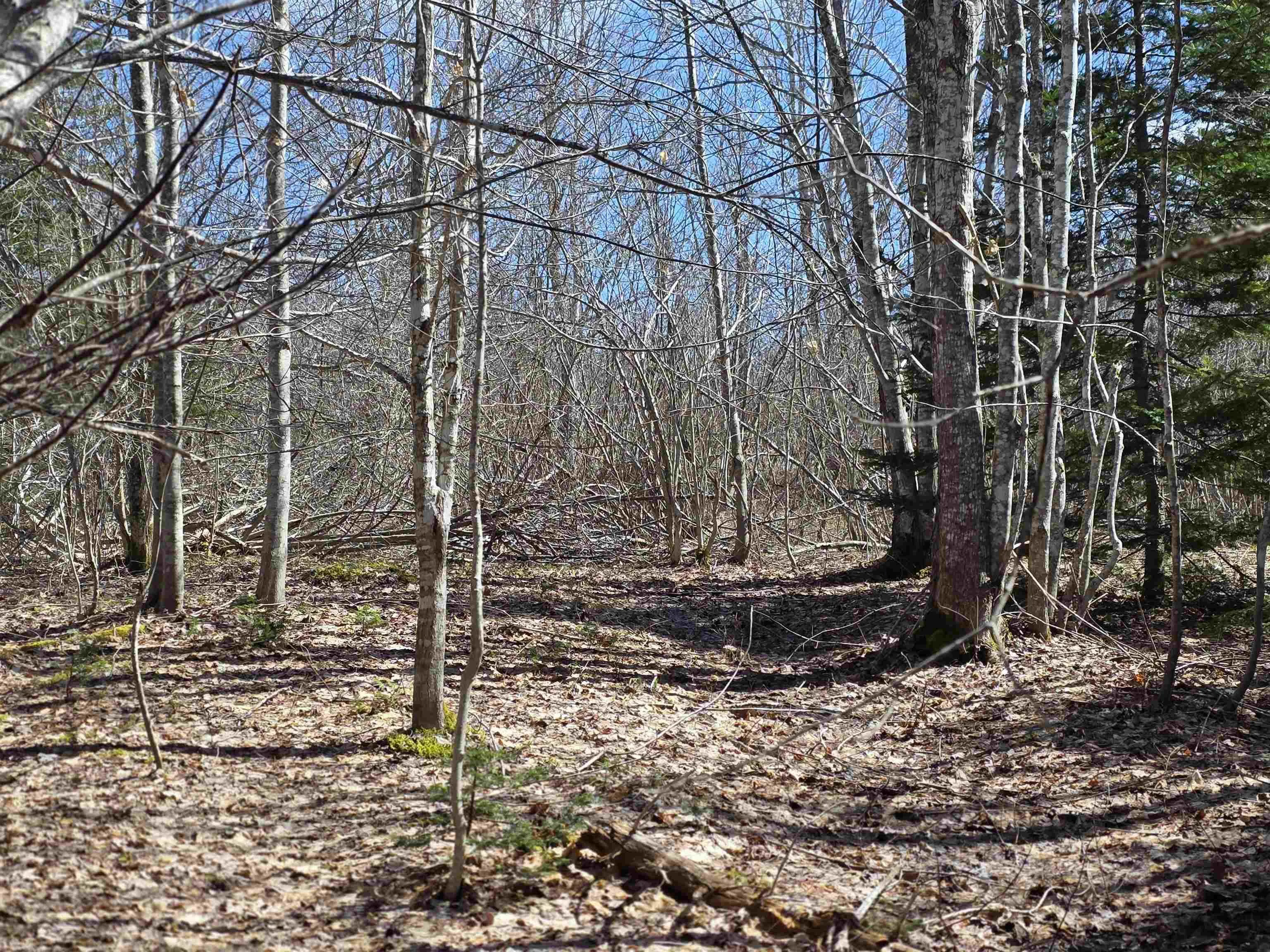 Macleod Settlement Road, Upper Southwest Mabou Ns B0e 2w0, ,Land,For Sale,Macleod Settlement,202509856