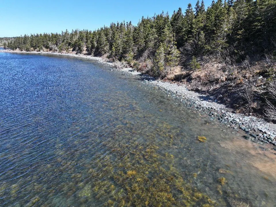 Hapes Point Road Lot 1, Ecum Secum, NS B0J 2R0, ,Land,For Sale,Hapes Point,202520504
