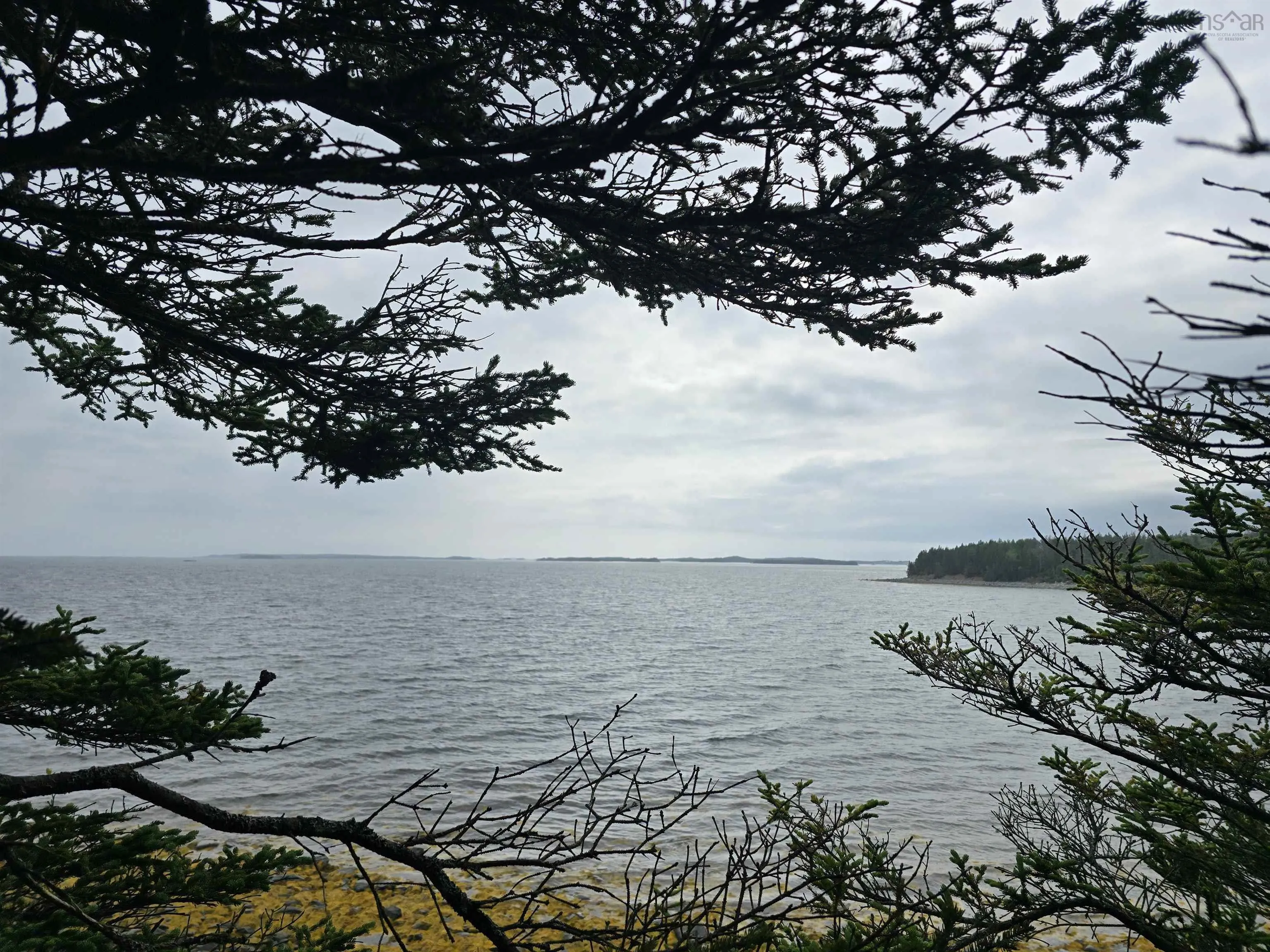 Hapes Point Road Lot 1, Ecum Secum, NS B0J 2R0, ,Land,For Sale,Hapes Point,202520504