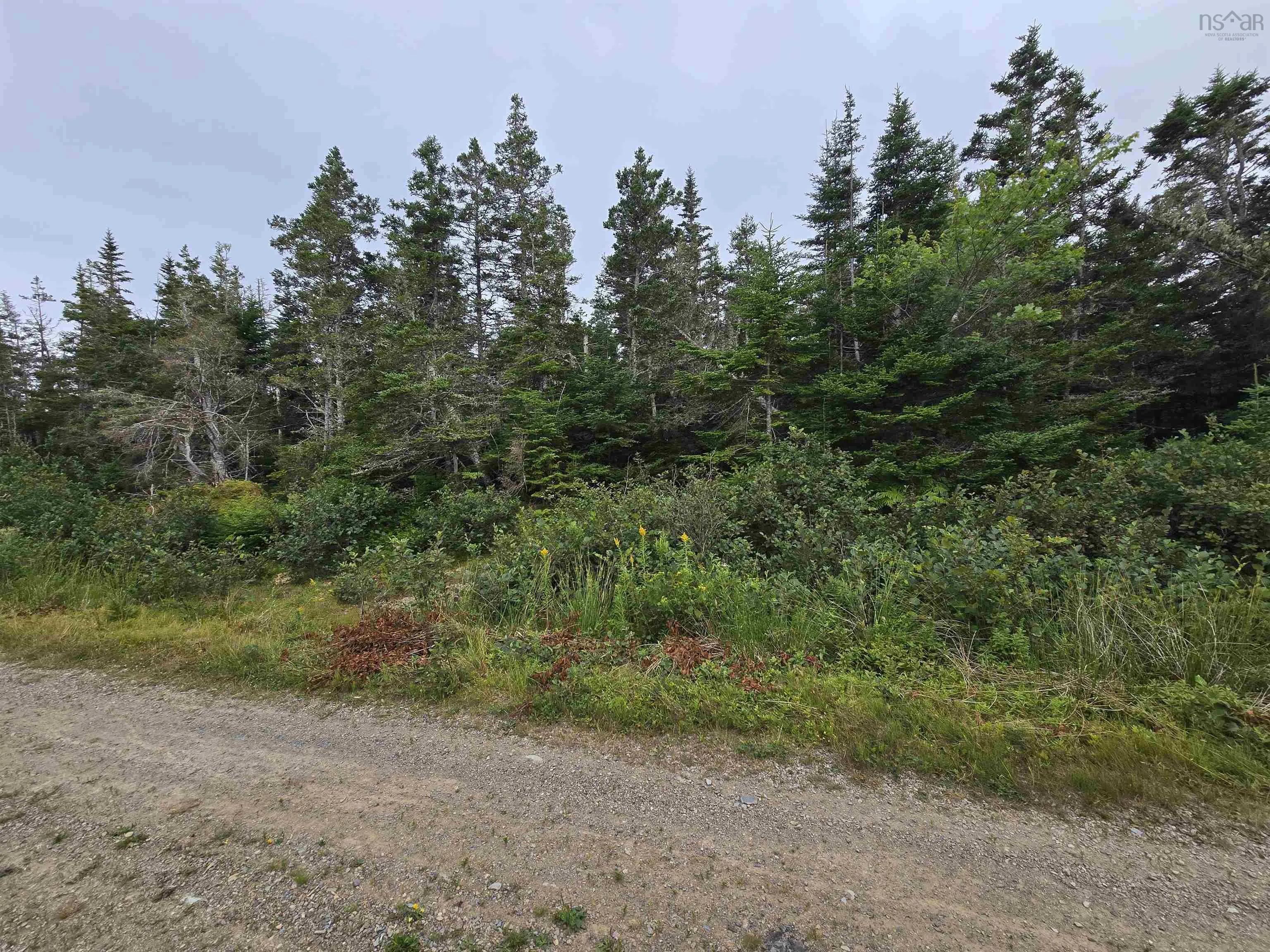 Hapes Point Road Lot 1, Ecum Secum, NS B0J 2R0, ,Land,For Sale,Hapes Point,202520504