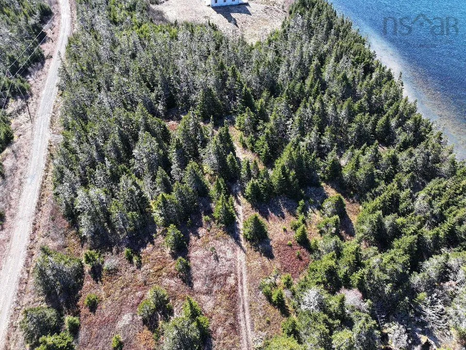 Hapes Point Road Lot 1, Ecum Secum, NS B0J 2R0, ,Land,For Sale,Hapes Point,202520504