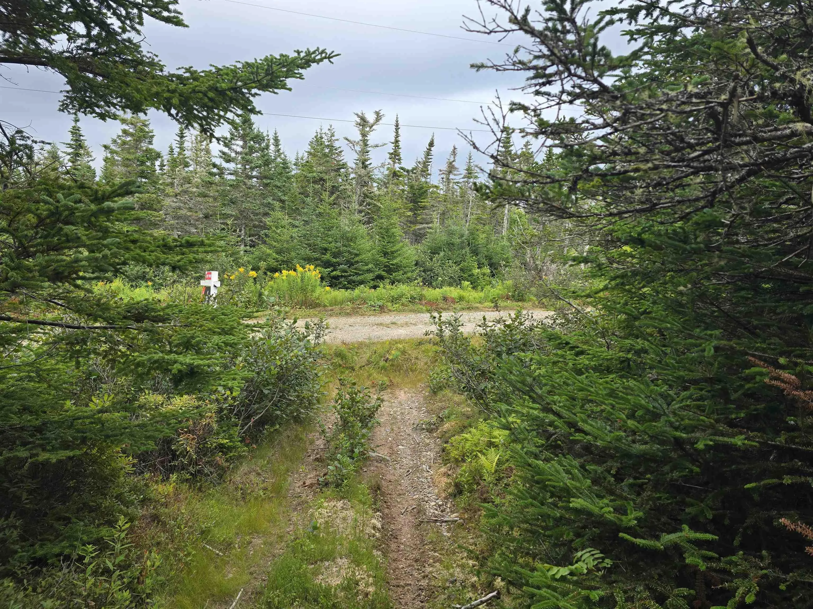 Hapes Point Road Lot 1, Ecum Secum, NS B0J 2R0, ,Land,For Sale,Hapes Point,202520504