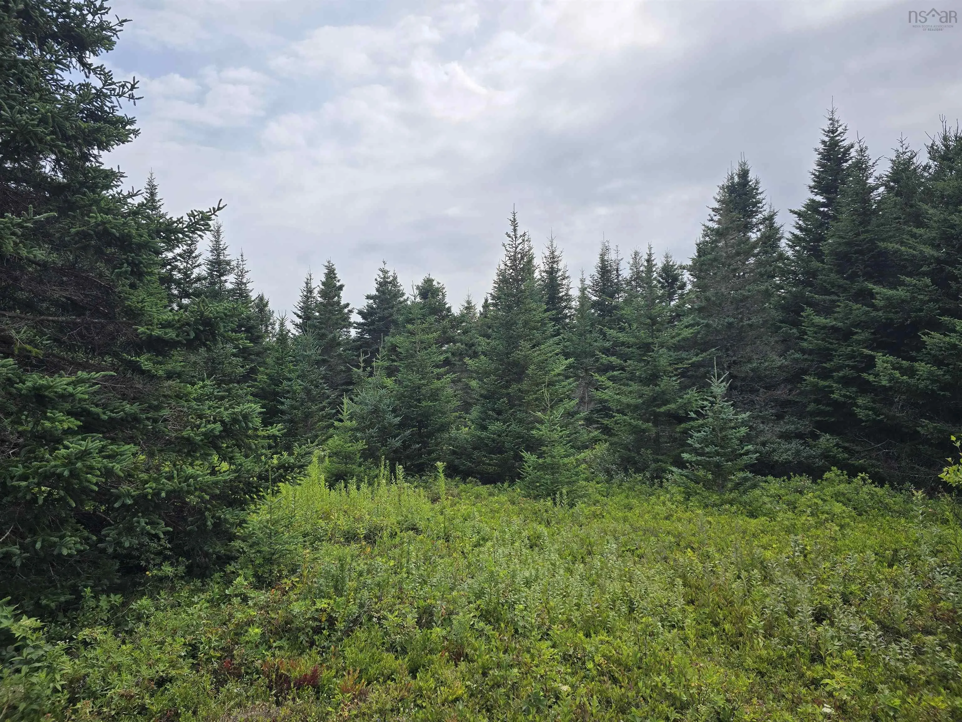 Hapes Point Road Lot 1, Ecum Secum, NS B0J 2R0, ,Land,For Sale,Hapes Point,202520504