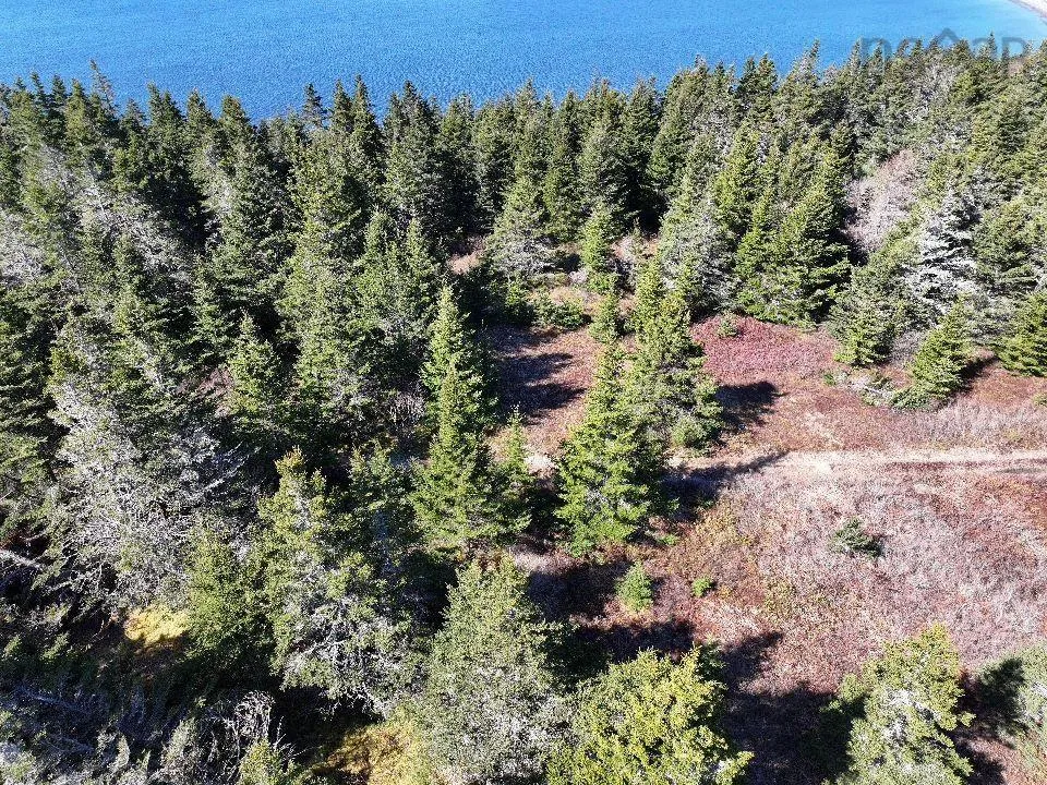 Hapes Point Road Lot 1, Ecum Secum, NS B0J 2R0, ,Land,For Sale,Hapes Point,202520504