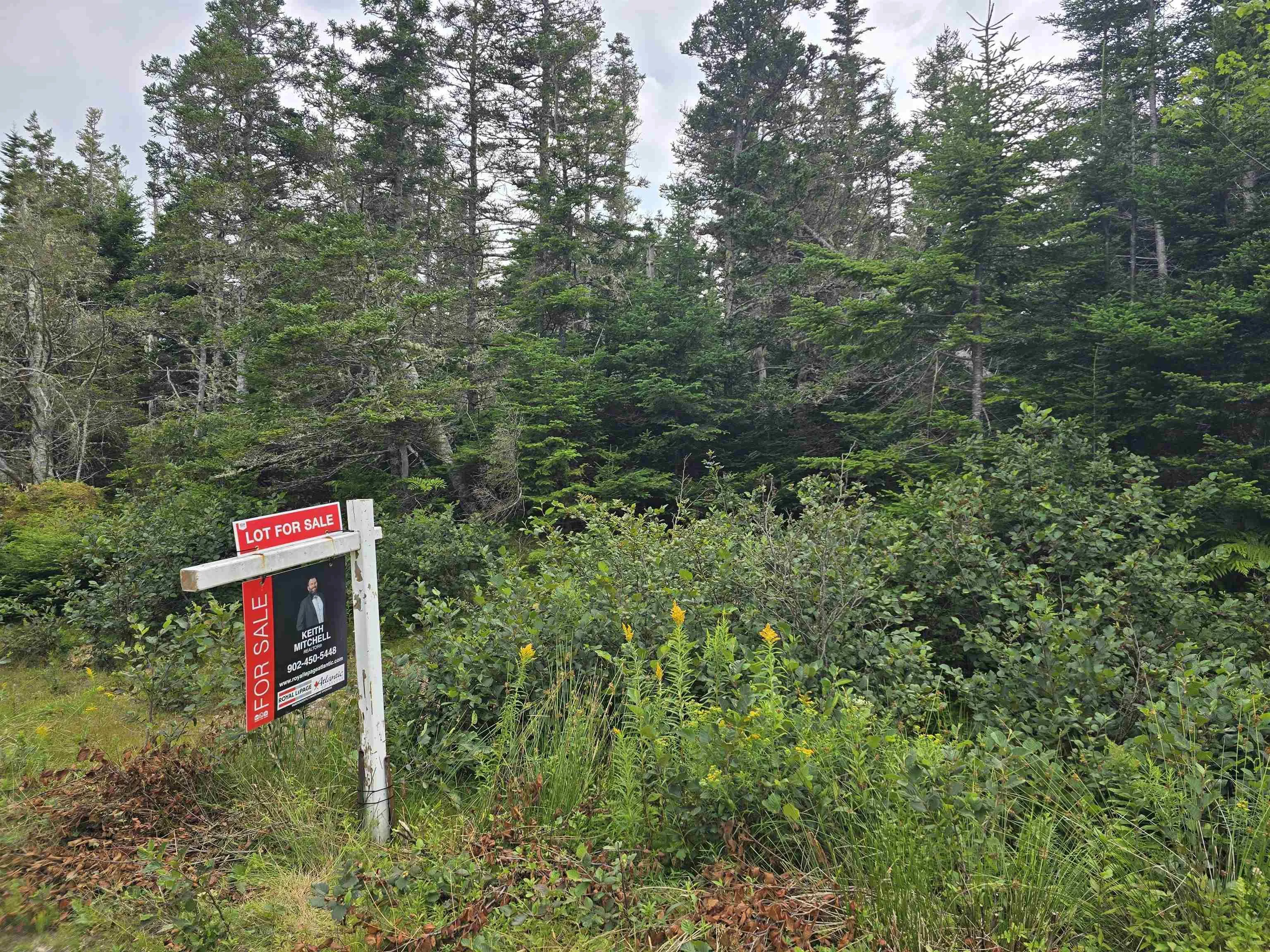 Hapes Point Road Lot 1, Ecum Secum, NS B0J 2R0, ,Land,For Sale,Hapes Point,202520504
