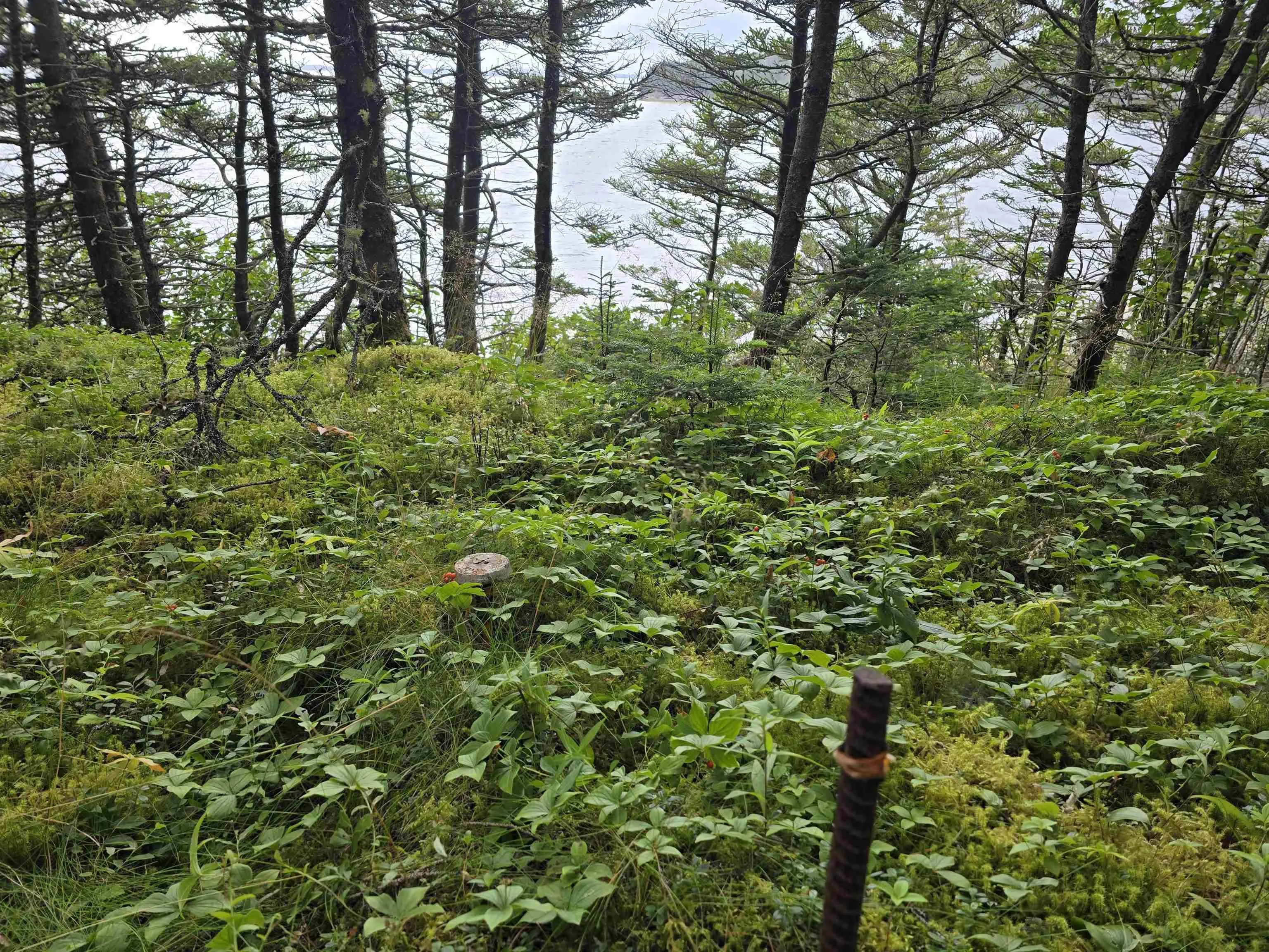 Hapes Point Road Lot 1, Ecum Secum, NS B0J 2R0, ,Land,For Sale,Hapes Point,202520504
