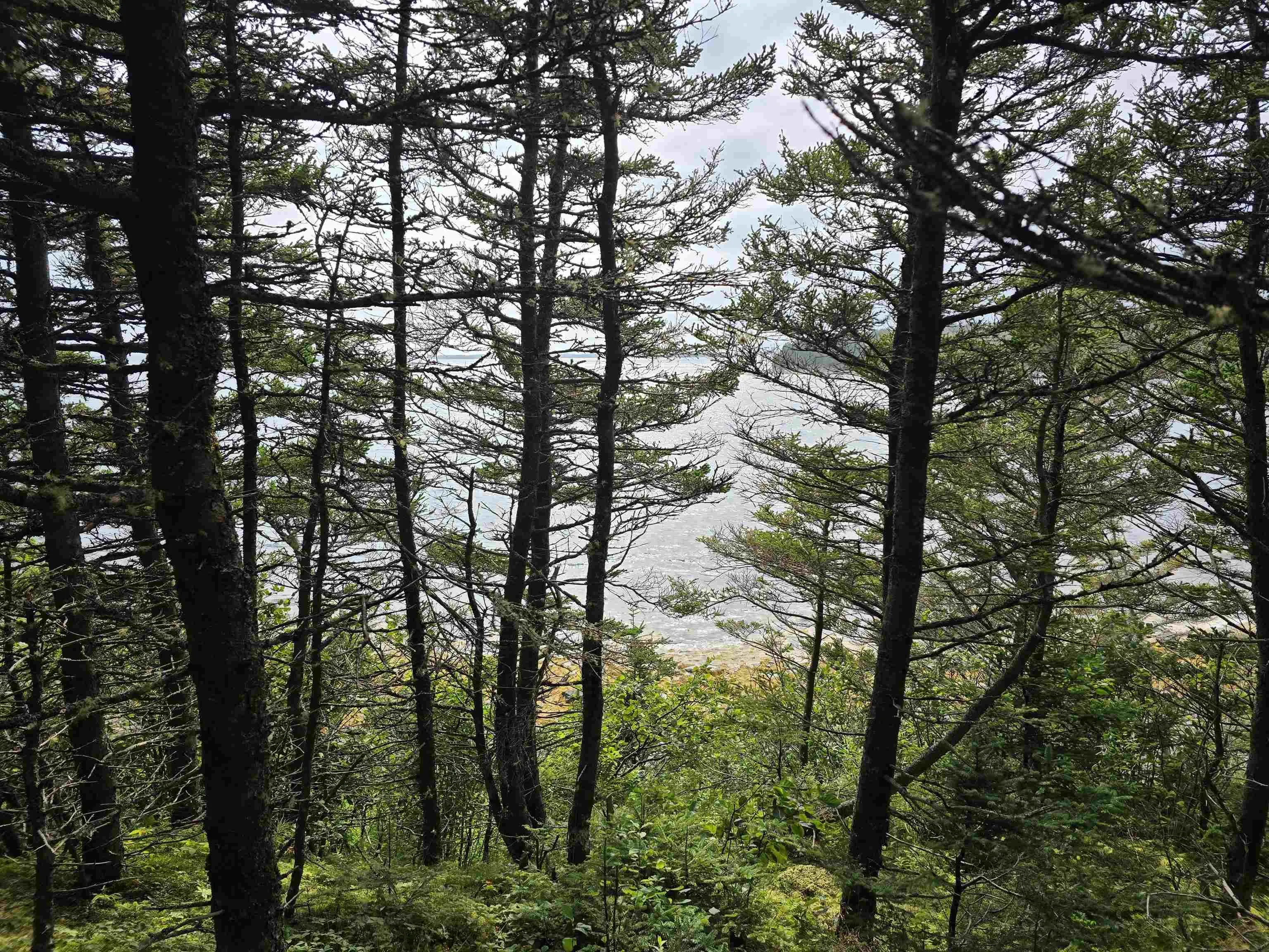 Hapes Point Road Lot 1, Ecum Secum, NS B0J 2R0, ,Land,For Sale,Hapes Point,202520504