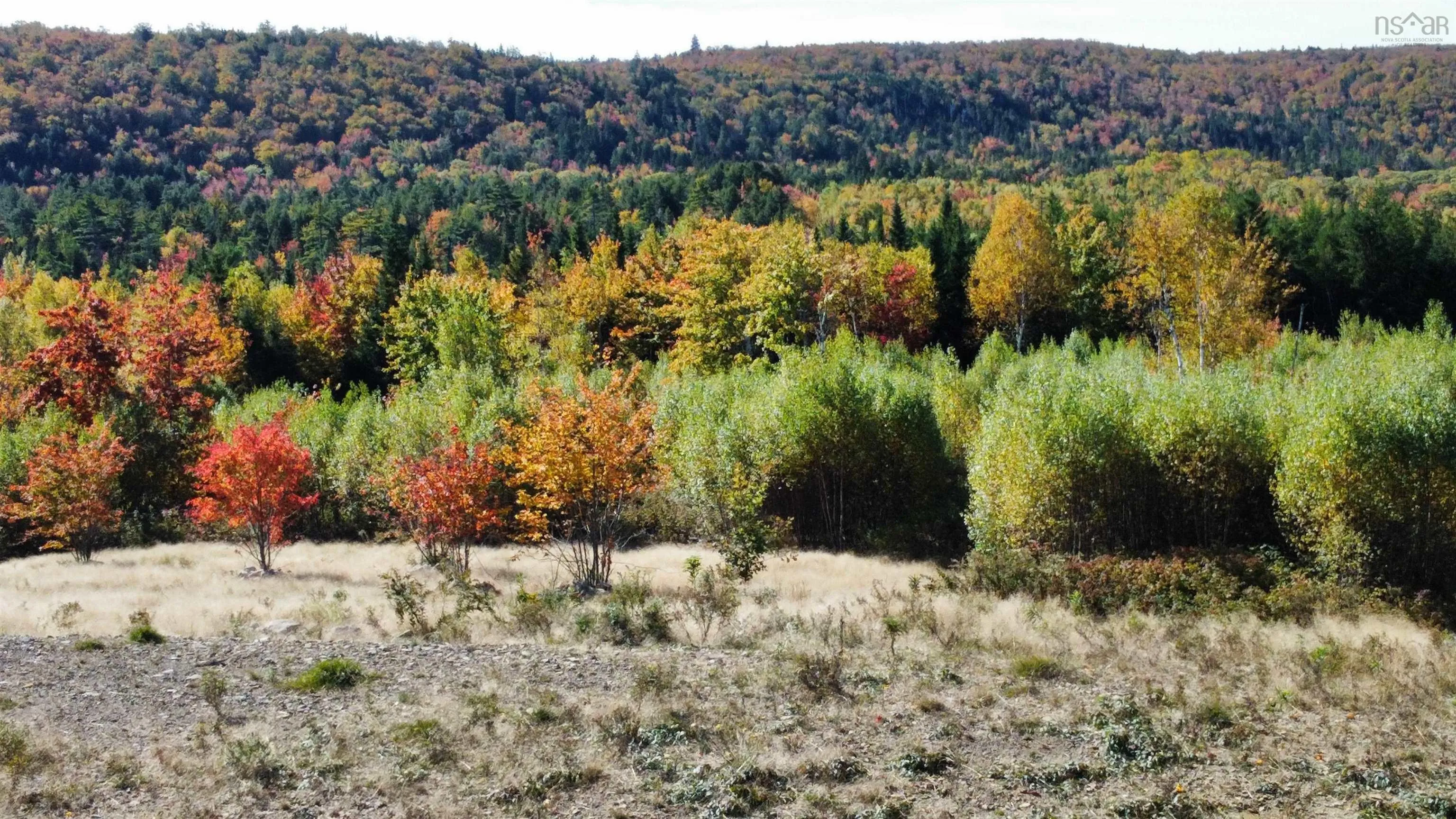 996 Lake Road Lot 1, Smithfield, NS B0H 1E0, ,Land,For Sale,Lake,202520997