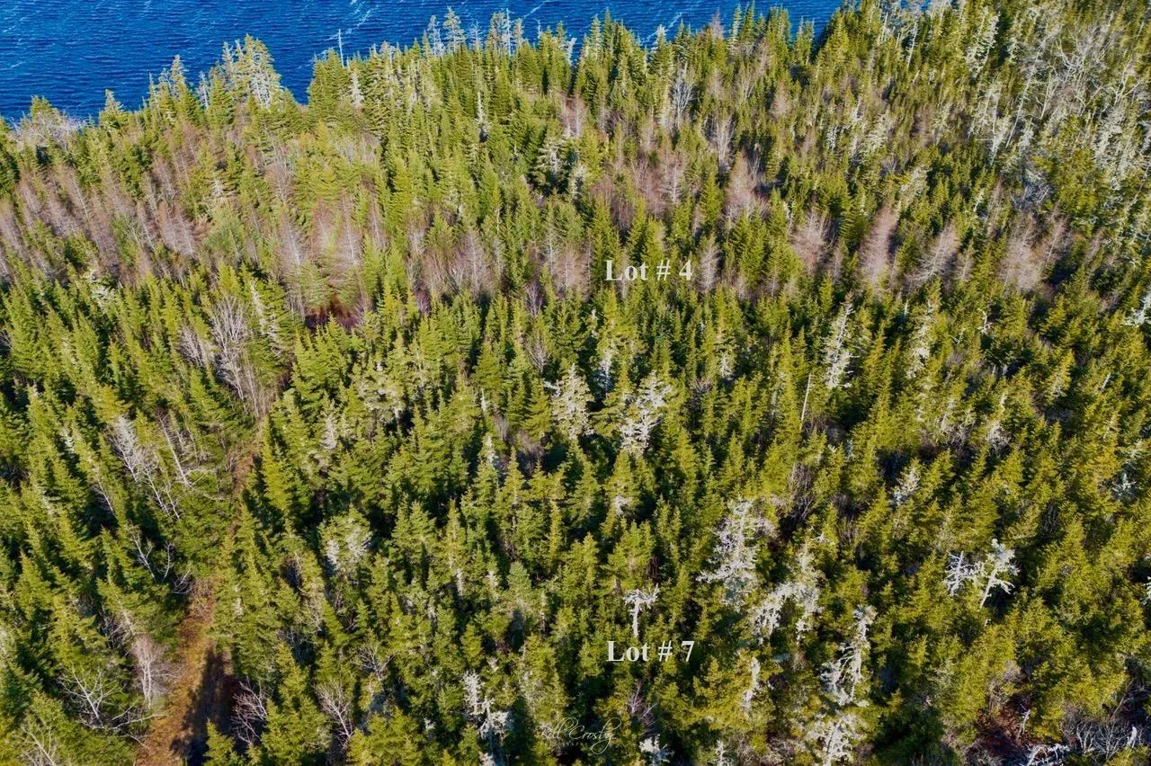 Lots Matthew's Lake Road, Little Harbour Ns B0t 1v0, ,Land,For Sale,Matthew's Lake,202507071