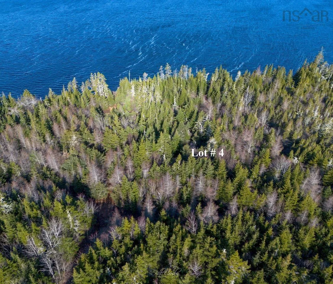 Lots Matthew's Lake Road, Little Harbour Ns B0t 1v0, ,Land,For Sale,Matthew's Lake,202507071