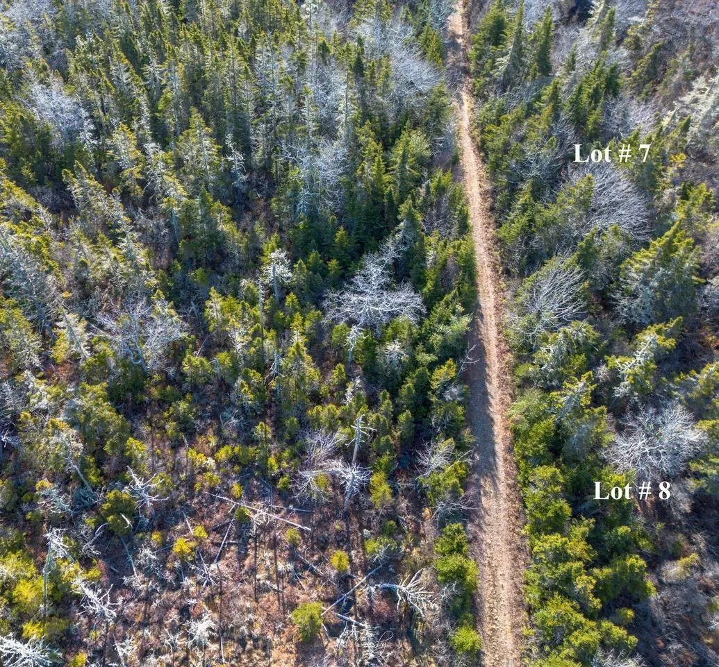 Lots Matthew's Lake Road, Little Harbour Ns B0t 1v0, ,Land,For Sale,Matthew's Lake,202507071