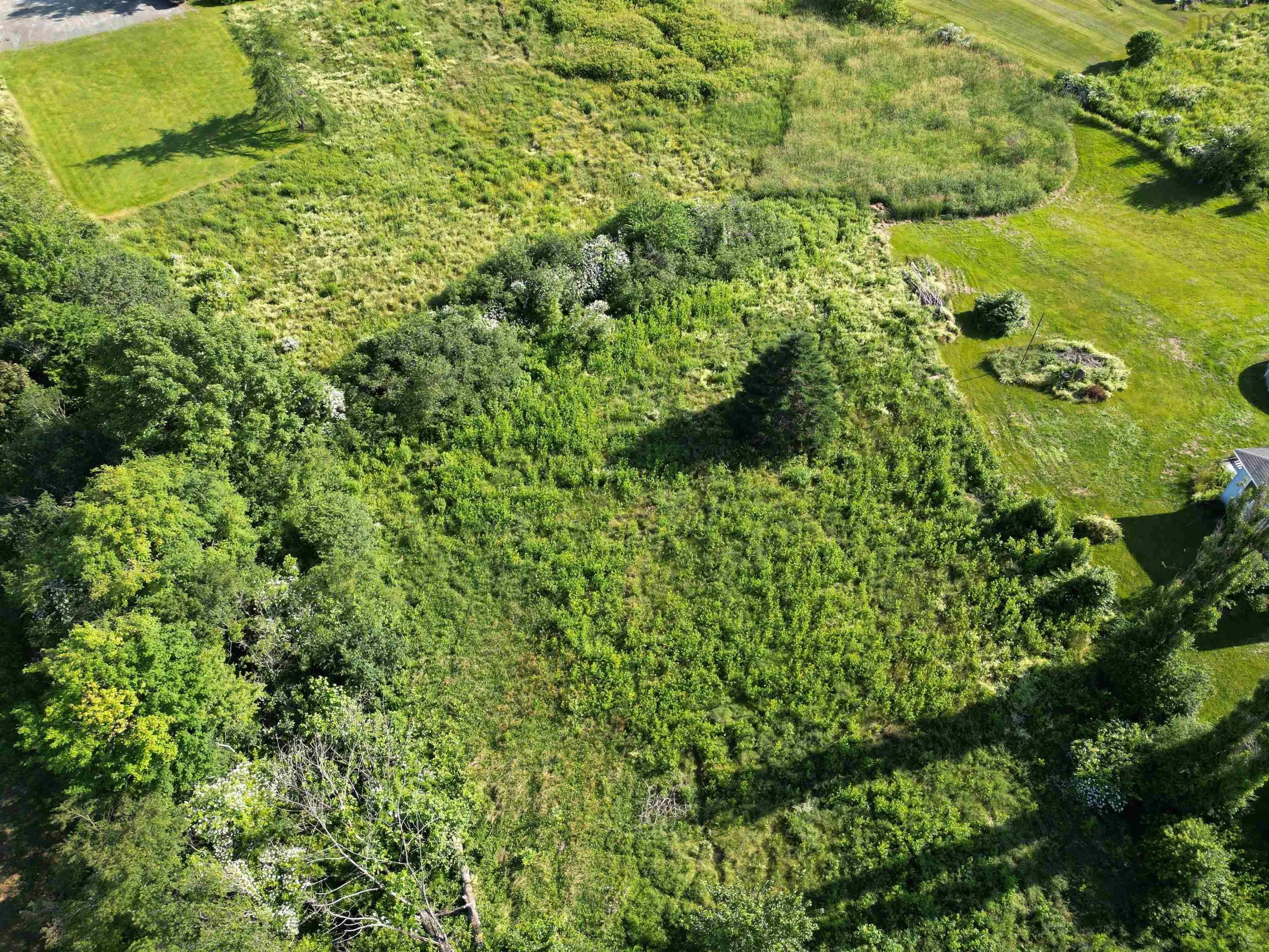 B7 Brook Avenue, Lyons Brook Ns B0k 1h0, ,Land,For Sale,Brook,202325147