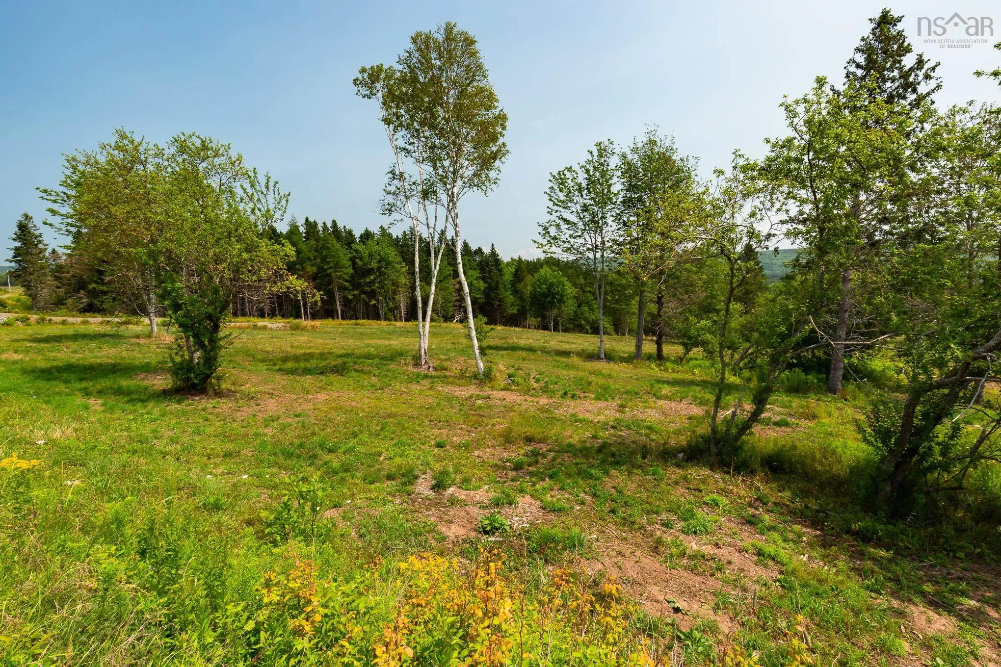 Highway 19, Hawleys Hill Highway Lot 3, Mabou Ns B0e 1x0, ,Land,For Sale,Highway 19, Hawleys Hill,202424380