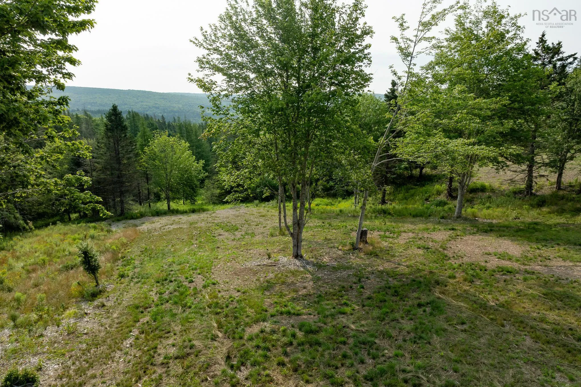 Highway 19, Hawleys Hill Highway Lot 3, Mabou Ns B0e 1x0, ,Land,For Sale,Highway 19, Hawleys Hill,202424380