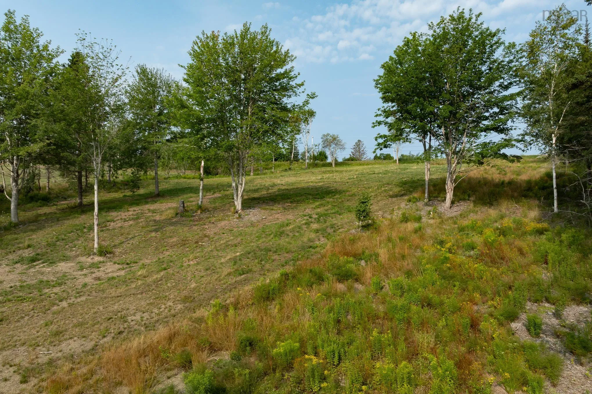 Highway 19, Hawleys Hill Highway Lot 3, Mabou Ns B0e 1x0, ,Land,For Sale,Highway 19, Hawleys Hill,202424380