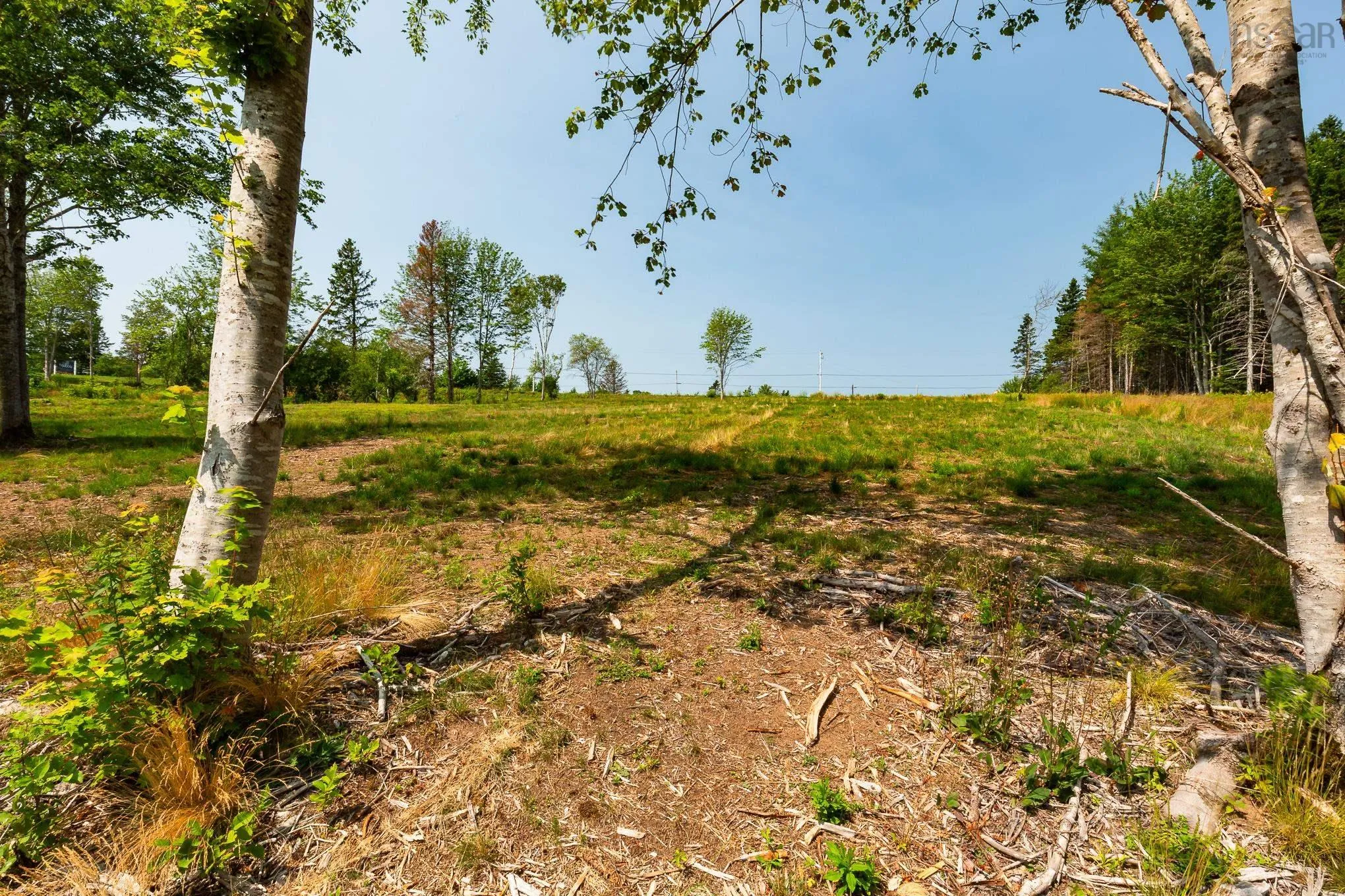 Highway 19, Hawleys Hill Highway Lot 3, Mabou Ns B0e 1x0, ,Land,For Sale,Highway 19, Hawleys Hill,202424380