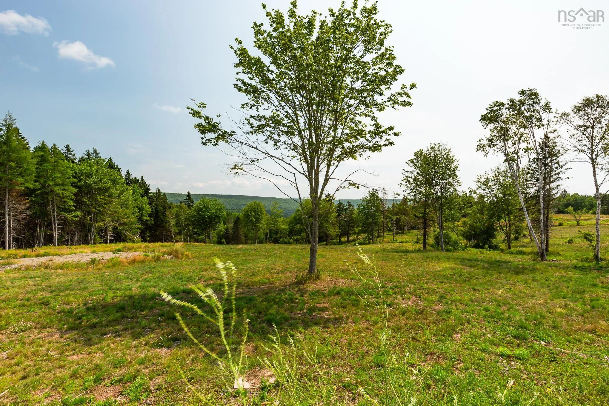 Highway 19, Hawleys Hill Highway Lot 3, Mabou Ns B0e 1x0, ,Land,For Sale,Highway 19, Hawleys Hill,202424380