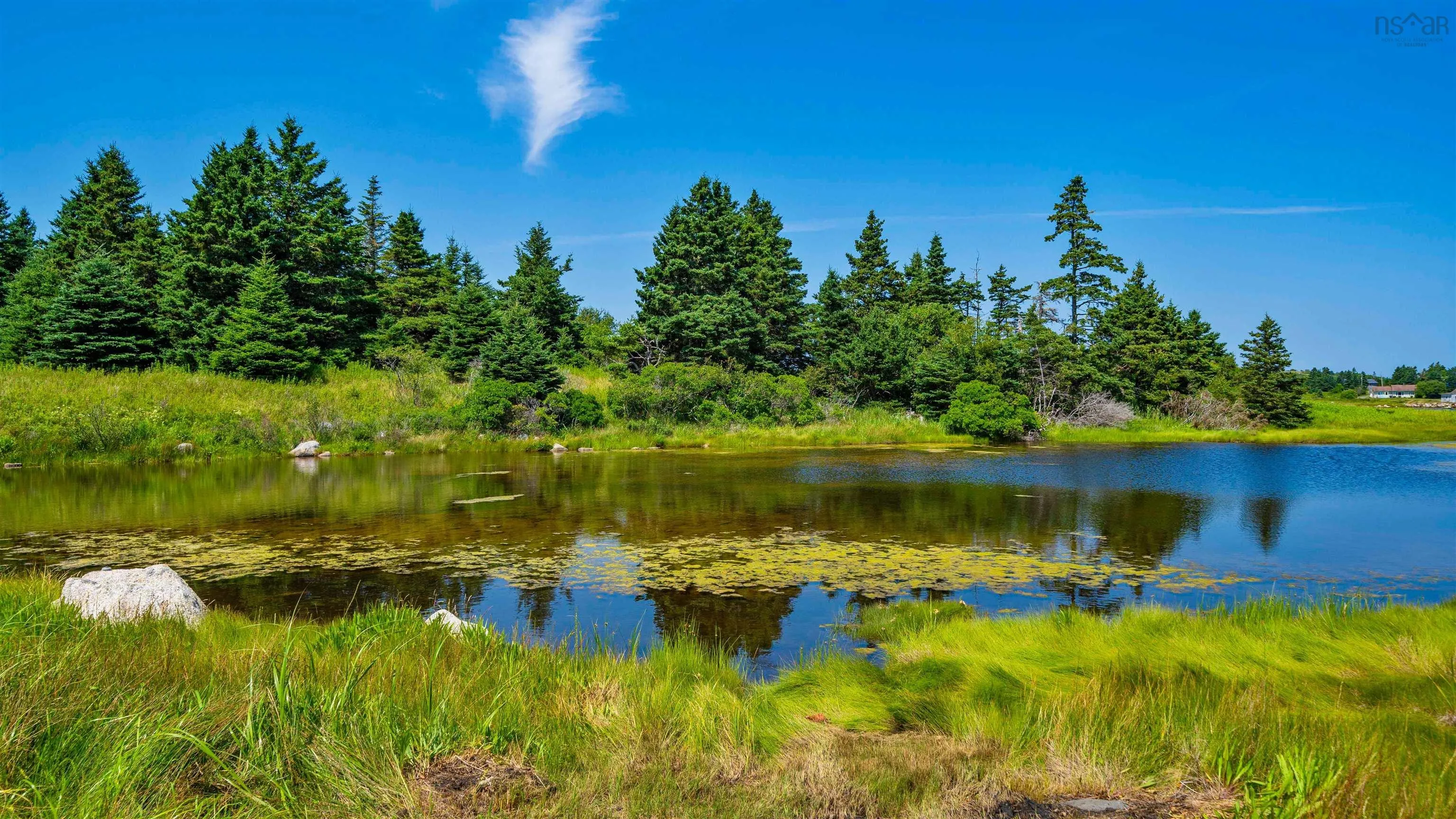 390 Sambro Creek Road, Sambro Creek, NS B3V 1L8, 5 Bedrooms Bedrooms, ,4 BathroomsBathrooms,Residential,For Sale,Sambro Creek,202519057