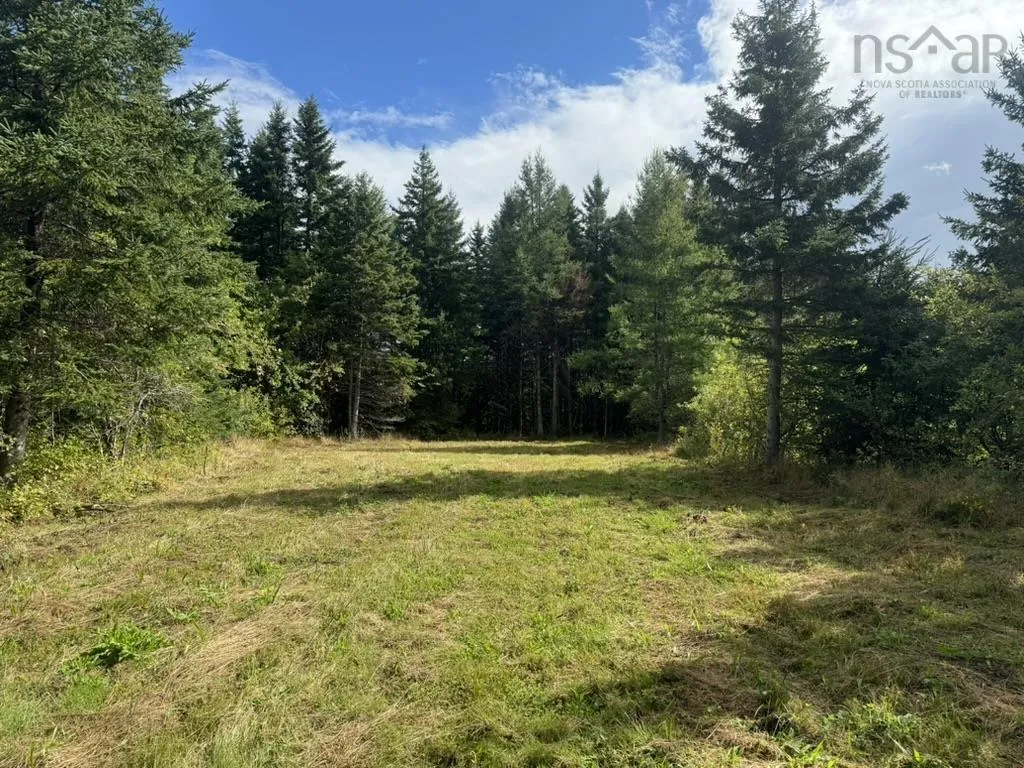 1629 Westside Middle River Road, Middle River, NS B0E 1B0, ,Land,For Sale,Westside Middle River,202511663