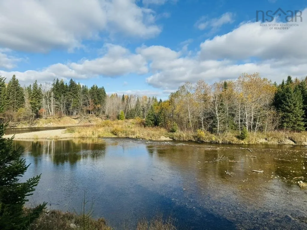 1629 Westside Middle River Road, Middle River, NS B0E 1B0, ,Land,For Sale,Westside Middle River,202511663