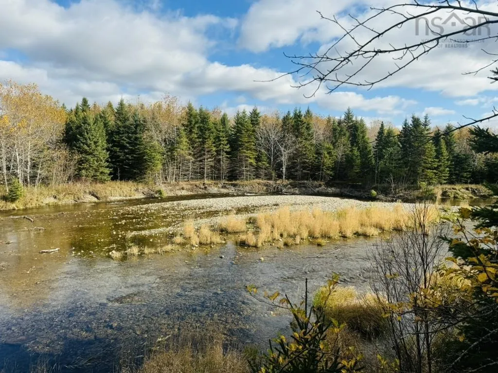 1629 Westside Middle River Road, Middle River, NS B0E 1B0, ,Land,For Sale,Westside Middle River,202511663