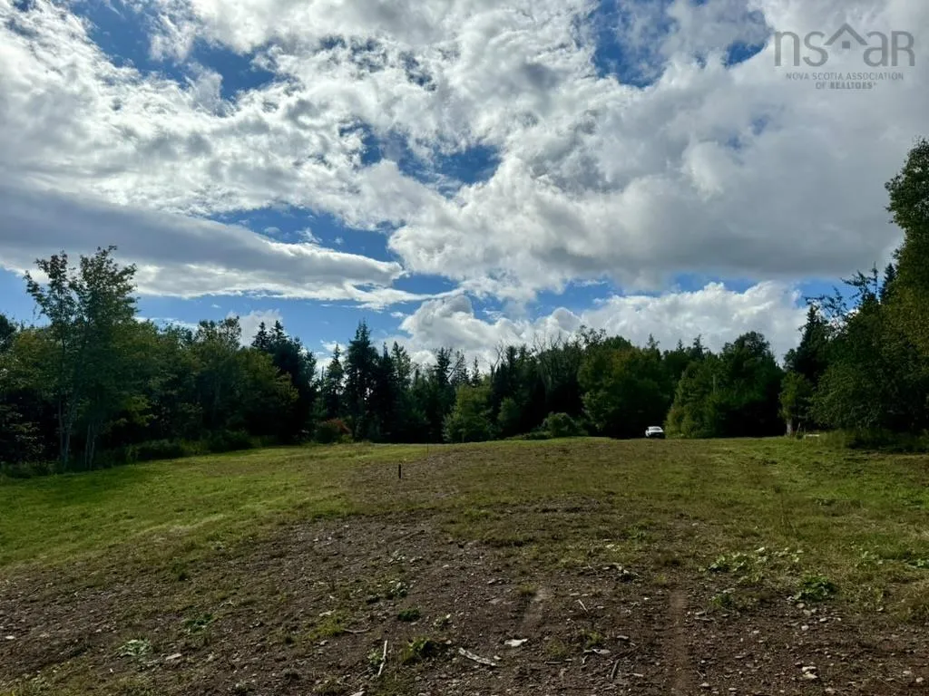 1629 Westside Middle River Road, Middle River, NS B0E 1B0, ,Land,For Sale,Westside Middle River,202511663