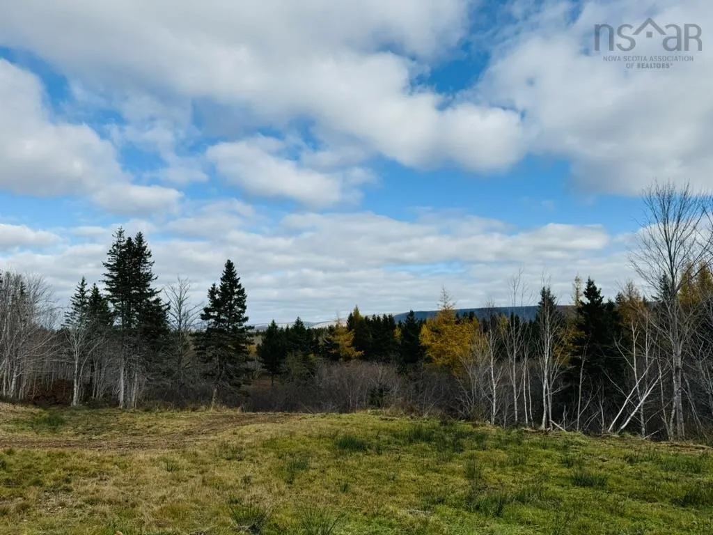 1629 Westside Middle River Road, Middle River, NS B0E 1B0, ,Land,For Sale,Westside Middle River,202511663