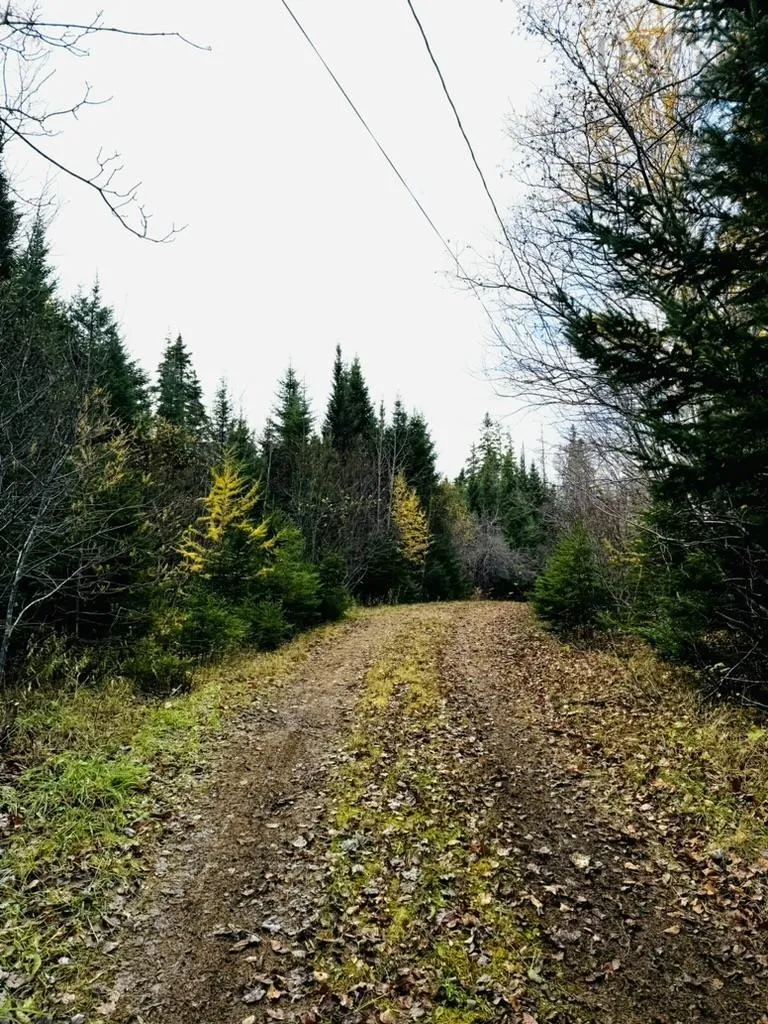 1629 Westside Middle River Road, Middle River, NS B0E 1B0, ,Land,For Sale,Westside Middle River,202511663
