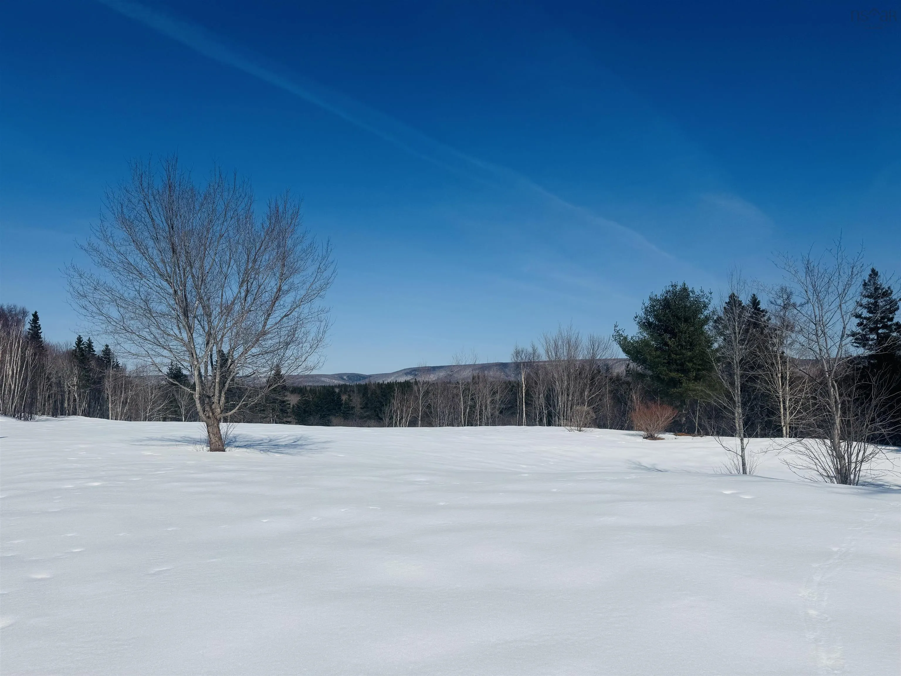 1629 Westside Middle River Road, Middle River, NS B0E 1B0, ,Land,For Sale,Westside Middle River,202511663