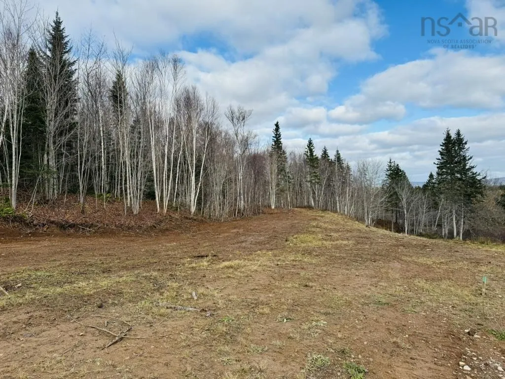 1629 Westside Middle River Road, Middle River, NS B0E 1B0, ,Land,For Sale,Westside Middle River,202511663