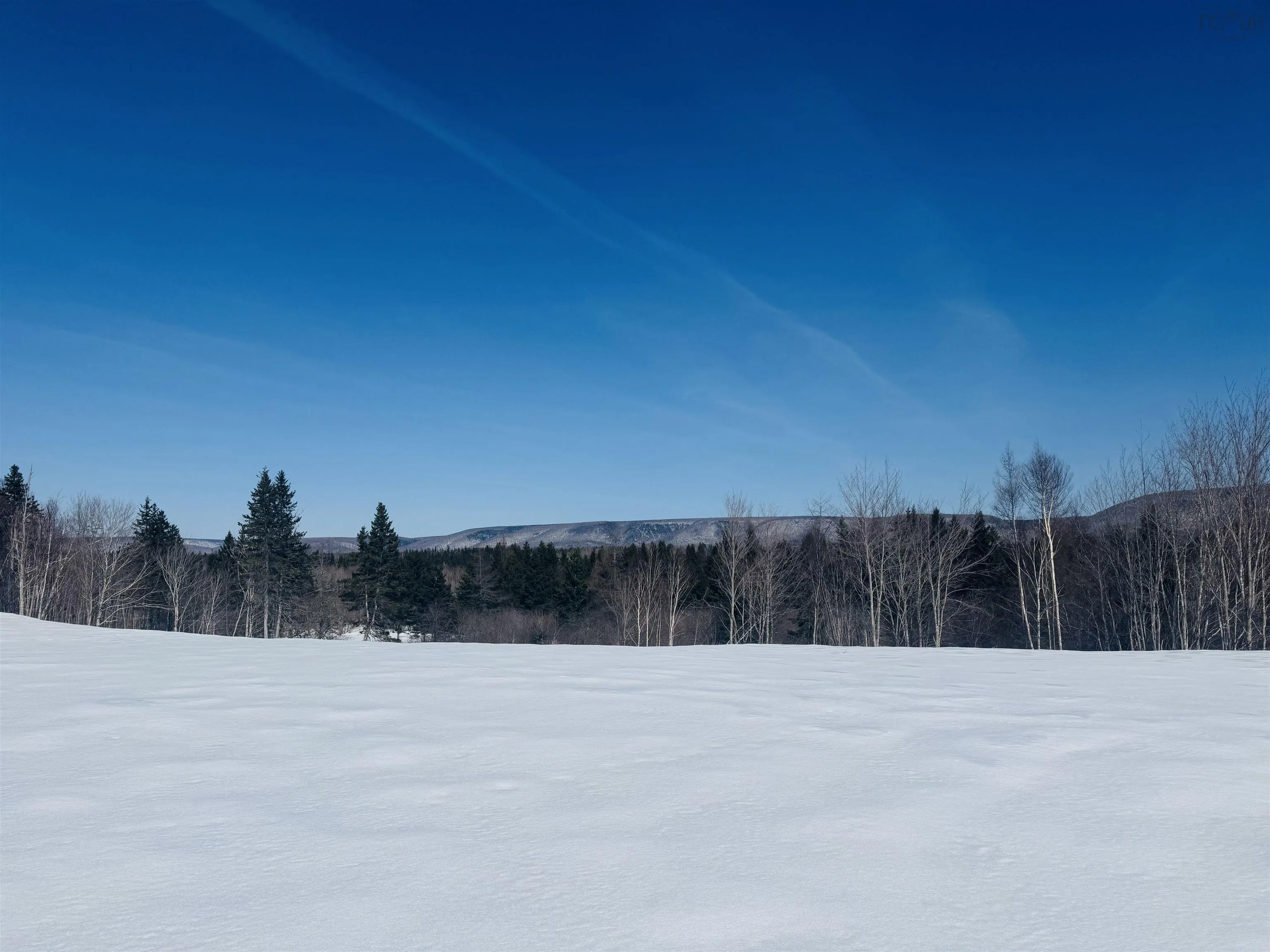 1629 Westside Middle River Road, Middle River, NS B0E 1B0, ,Land,For Sale,Westside Middle River,202511663