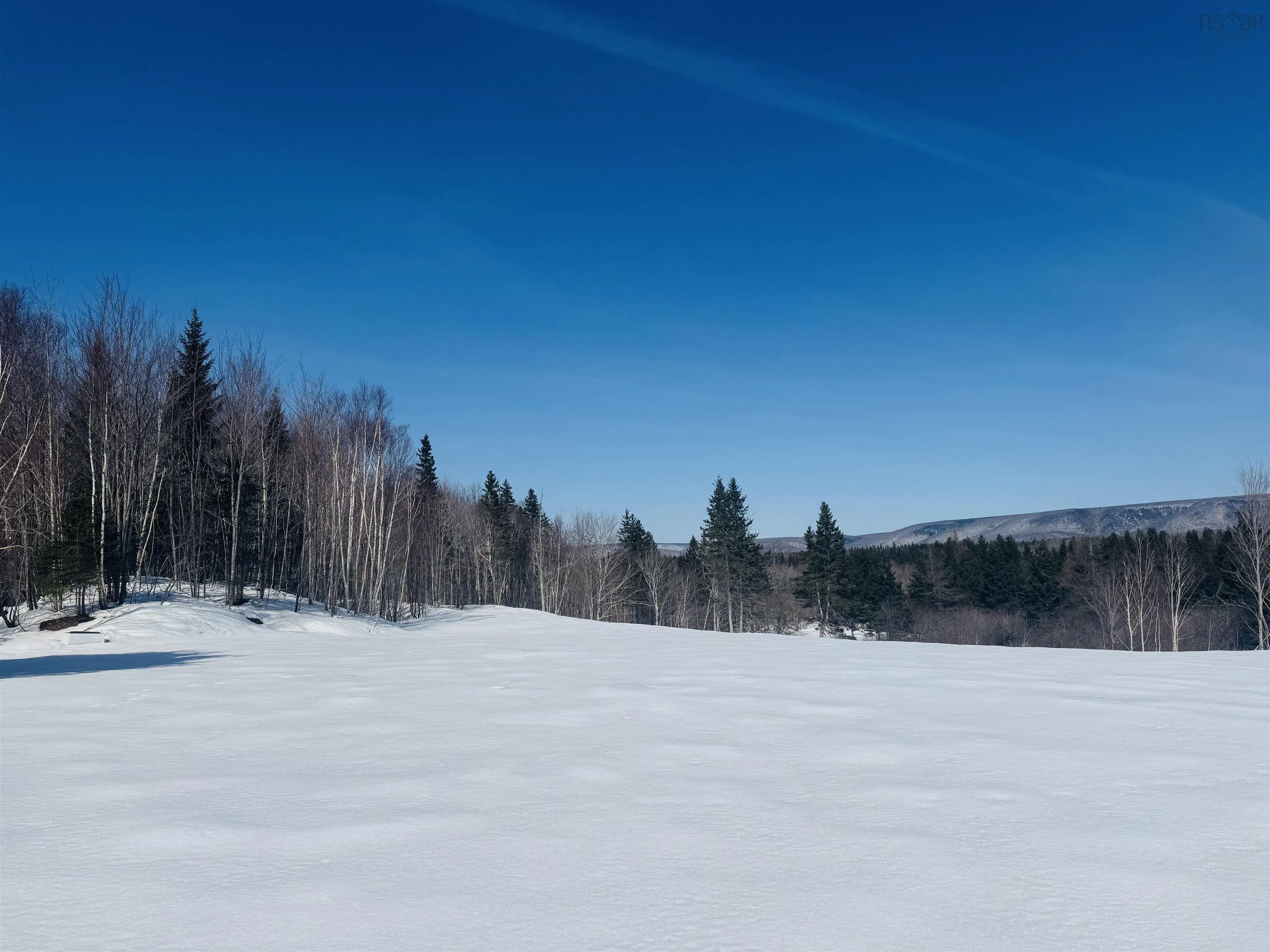 1629 Westside Middle River Road, Middle River, NS B0E 1B0, ,Land,For Sale,Westside Middle River,202511663