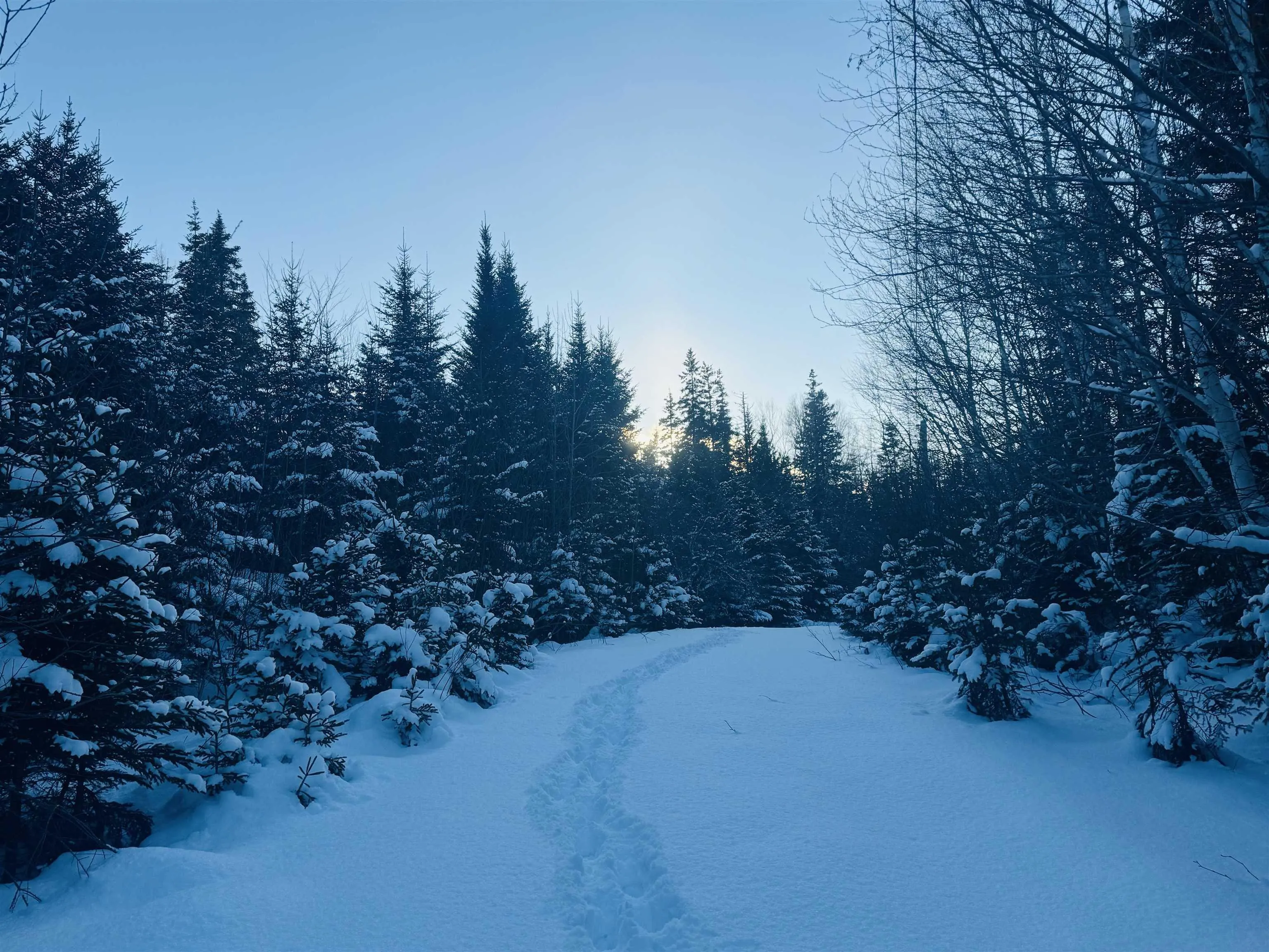 1629 Westside Middle River Road, Middle River, NS B0E 1B0, ,Land,For Sale,Westside Middle River,202511663