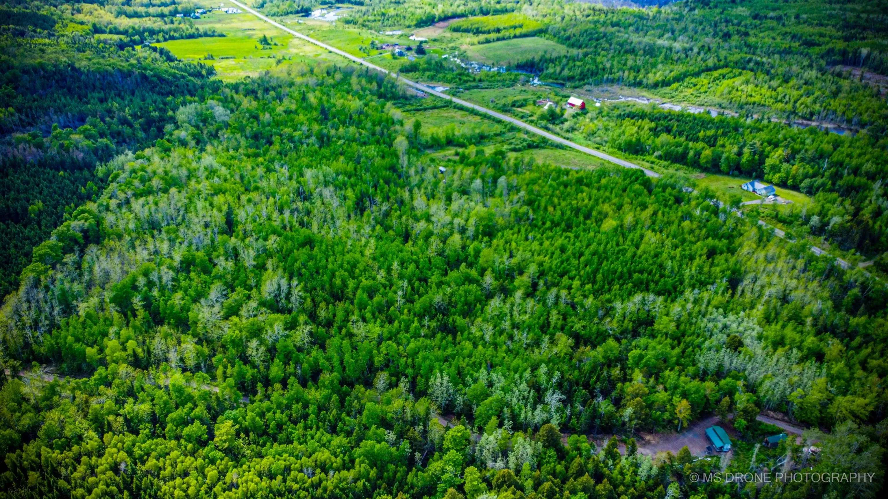 720 Balmoral Road, Central New Annan, NS B0K 1V0, ,Land,For Sale,Balmoral,202513196