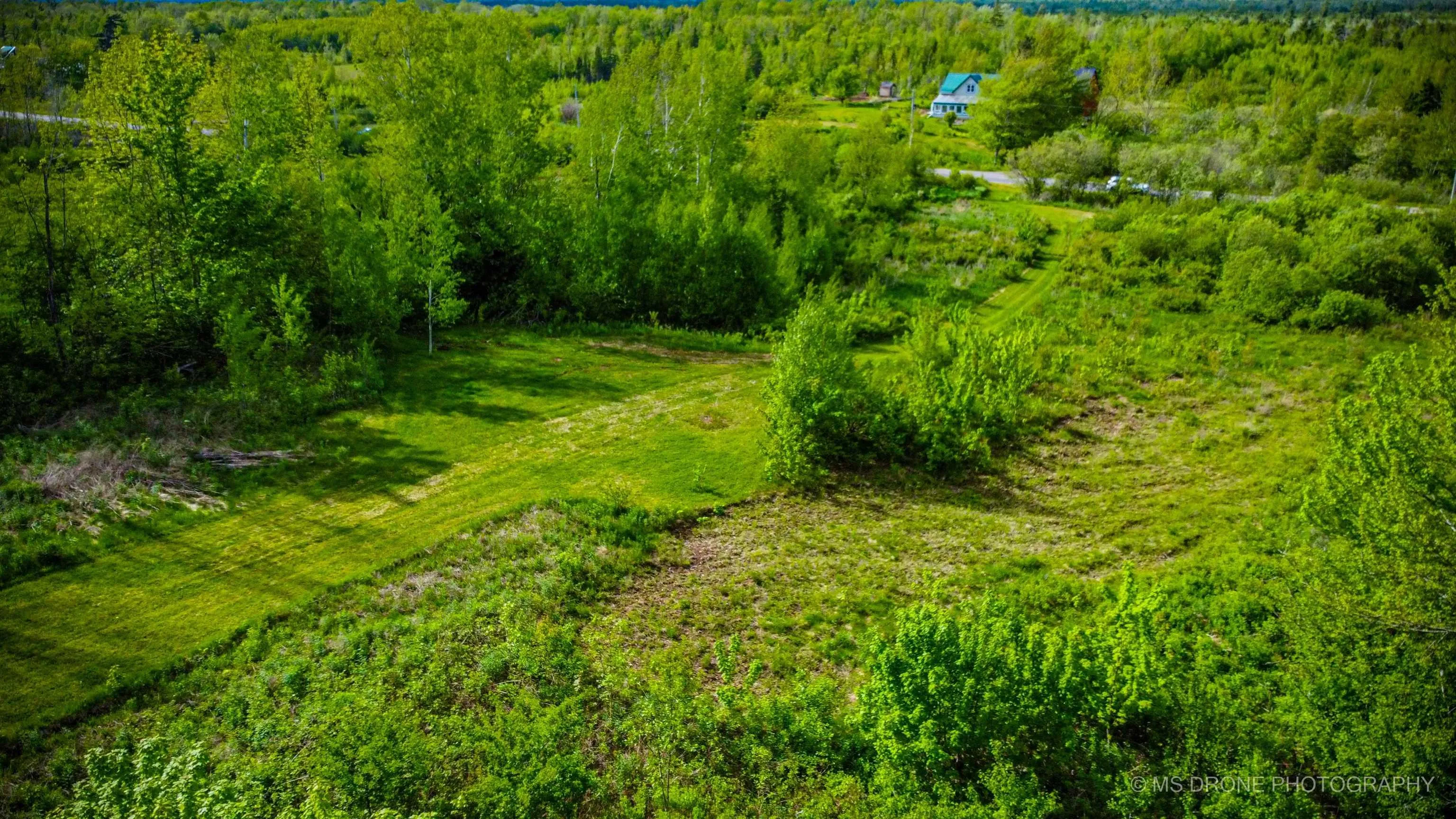 720 Balmoral Road, Central New Annan, NS B0K 1V0, ,Land,For Sale,Balmoral,202513196