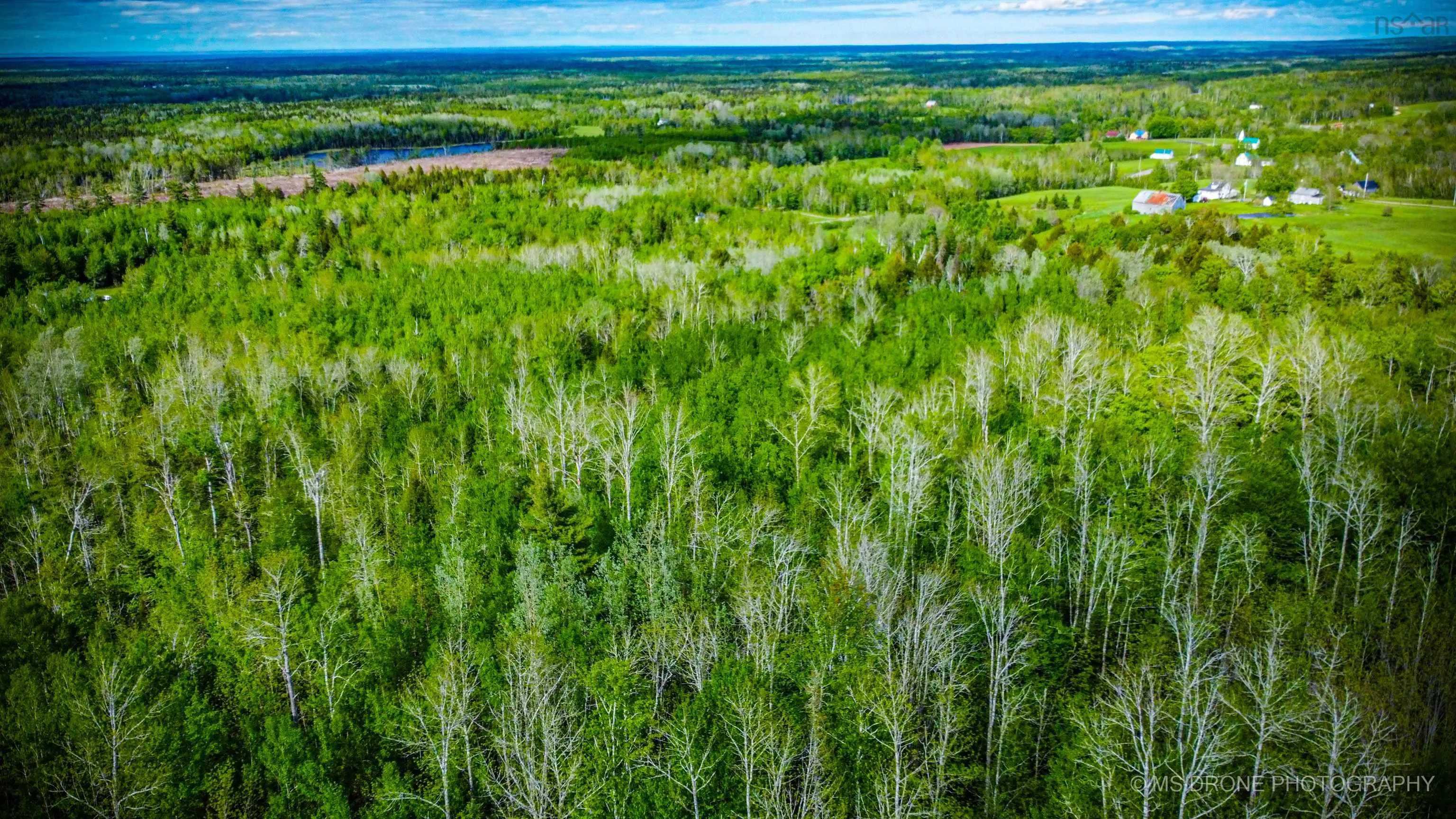 720 Balmoral Road, Central New Annan, NS B0K 1V0, ,Land,For Sale,Balmoral,202513196