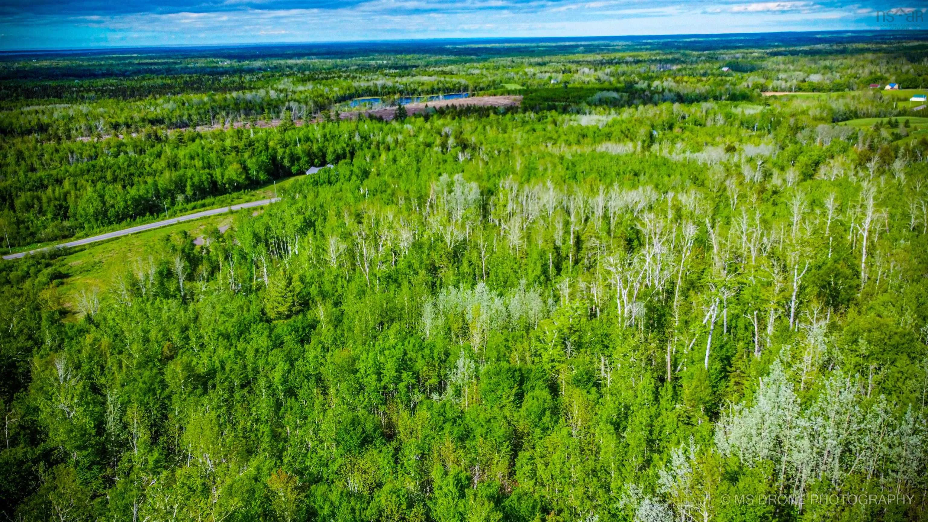 720 Balmoral Road, Central New Annan, NS B0K 1V0, ,Land,For Sale,Balmoral,202513196