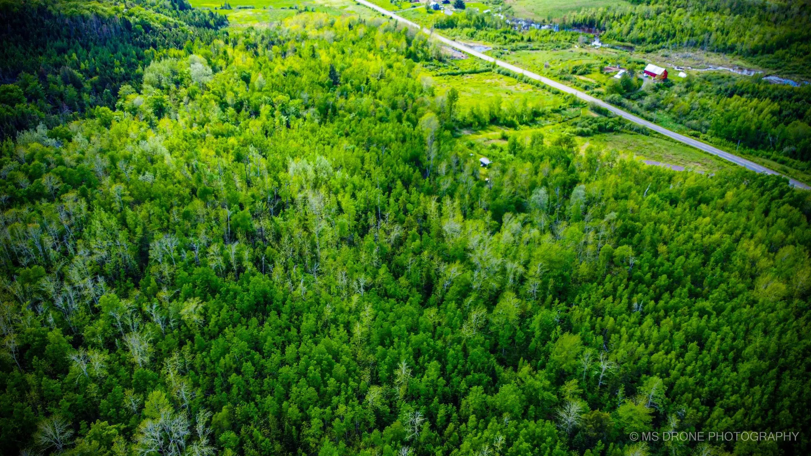 720 Balmoral Road, Central New Annan, NS B0K 1V0, ,Land,For Sale,Balmoral,202513196
