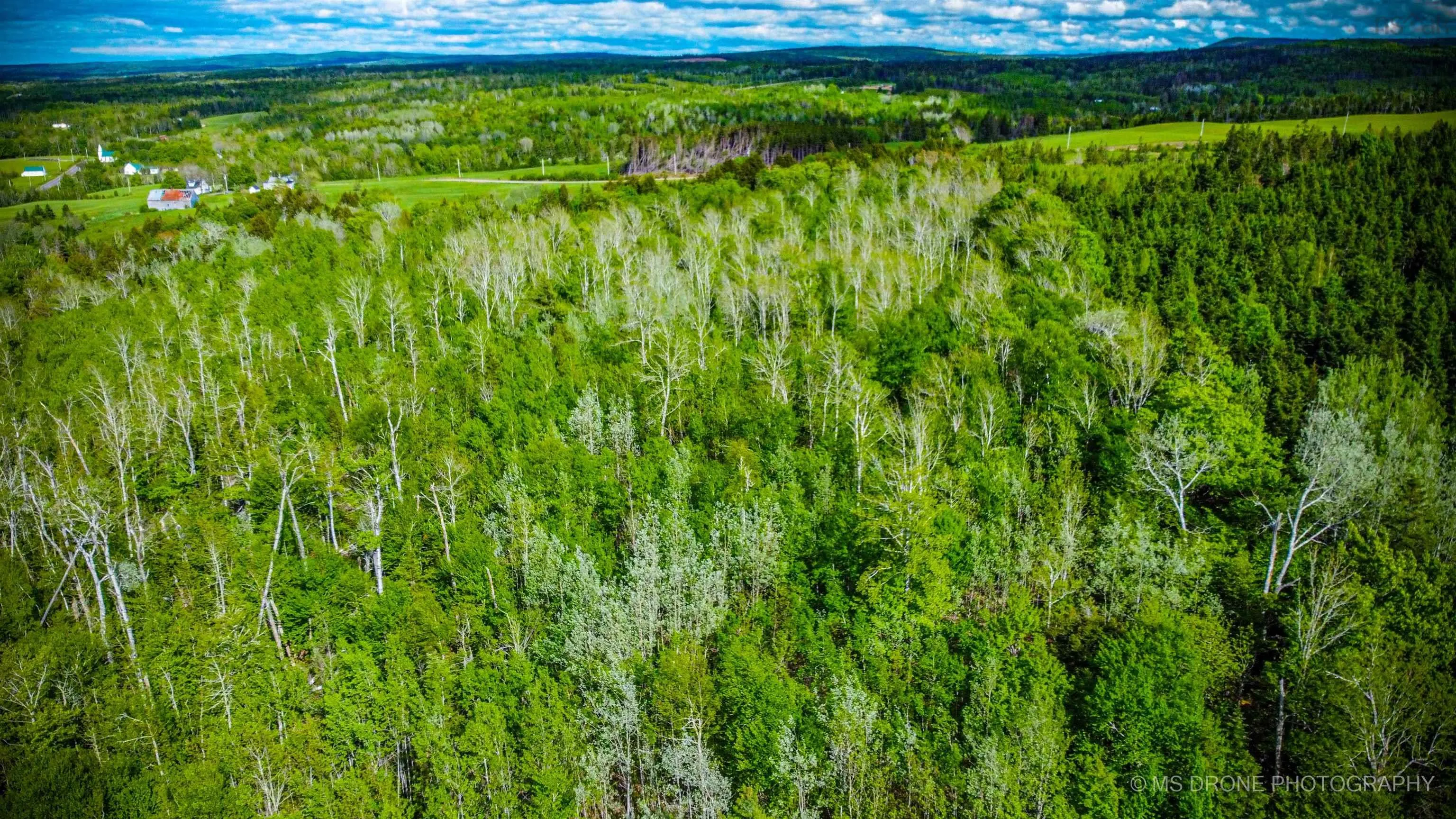 720 Balmoral Road, Central New Annan, NS B0K 1V0, ,Land,For Sale,Balmoral,202513196