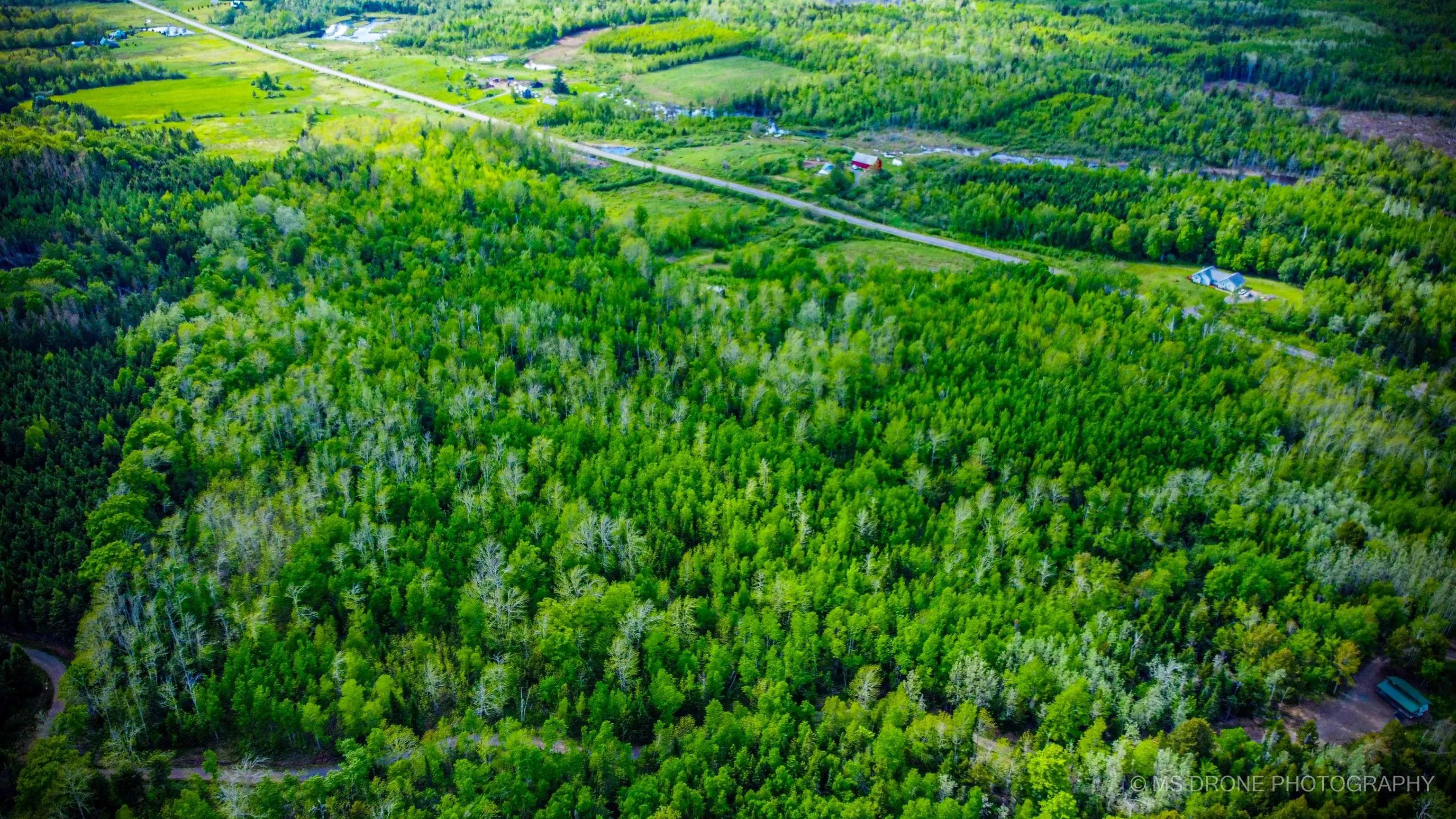 720 Balmoral Road, Central New Annan, NS B0K 1V0, ,Land,For Sale,Balmoral,202513196
