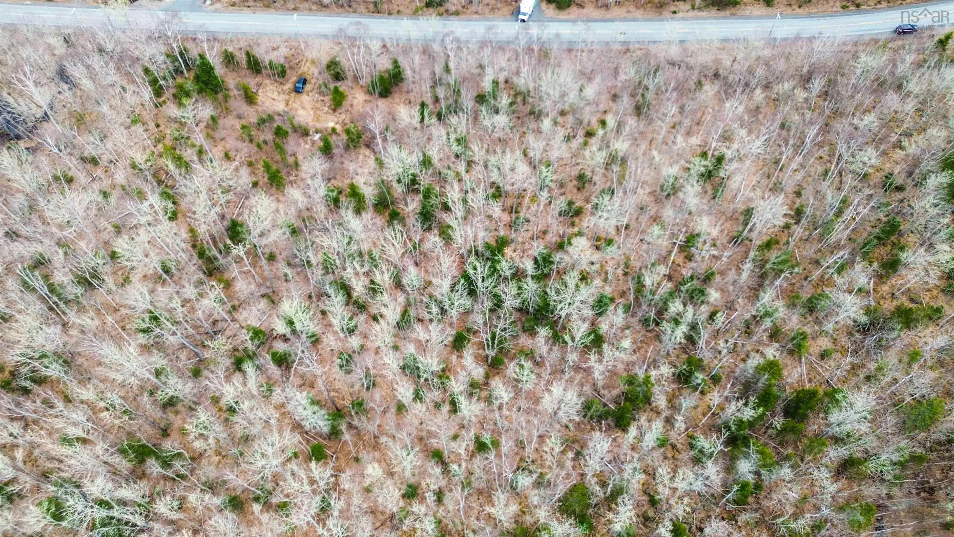 North River Road Lot 7, Aylesford Ns B0p 1c0, ,Land,For Sale,North River,202506890