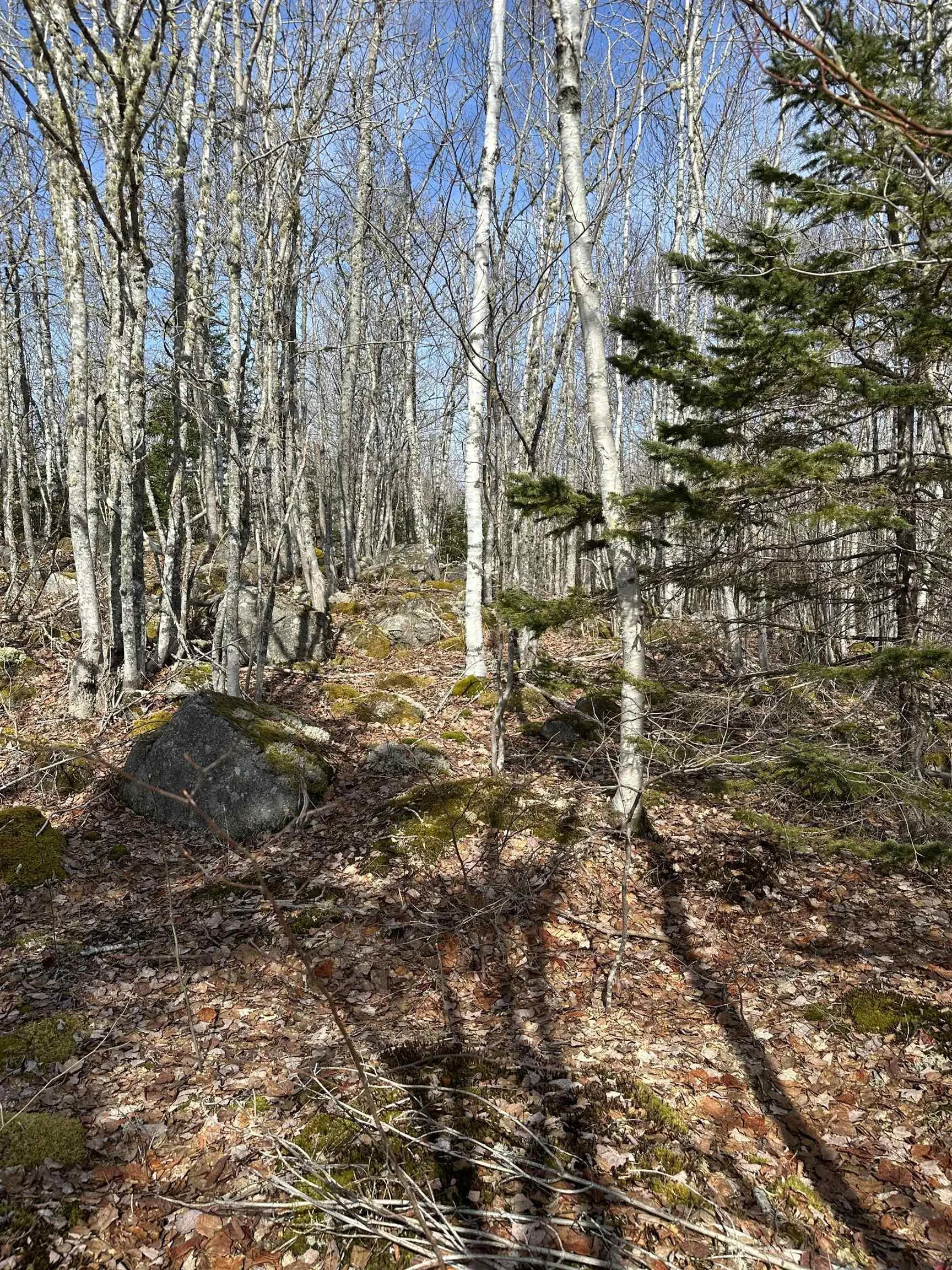 North River Road Lot 7, Aylesford Ns B0p 1c0, ,Land,For Sale,North River,202506890