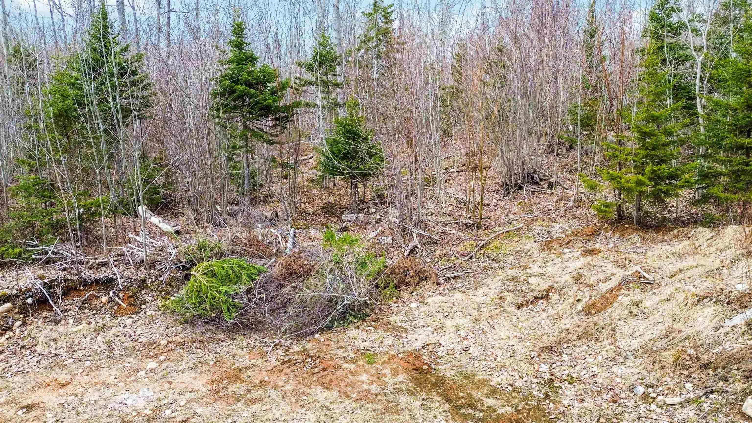 North River Road Lot 7, Aylesford Ns B0p 1c0, ,Land,For Sale,North River,202506890