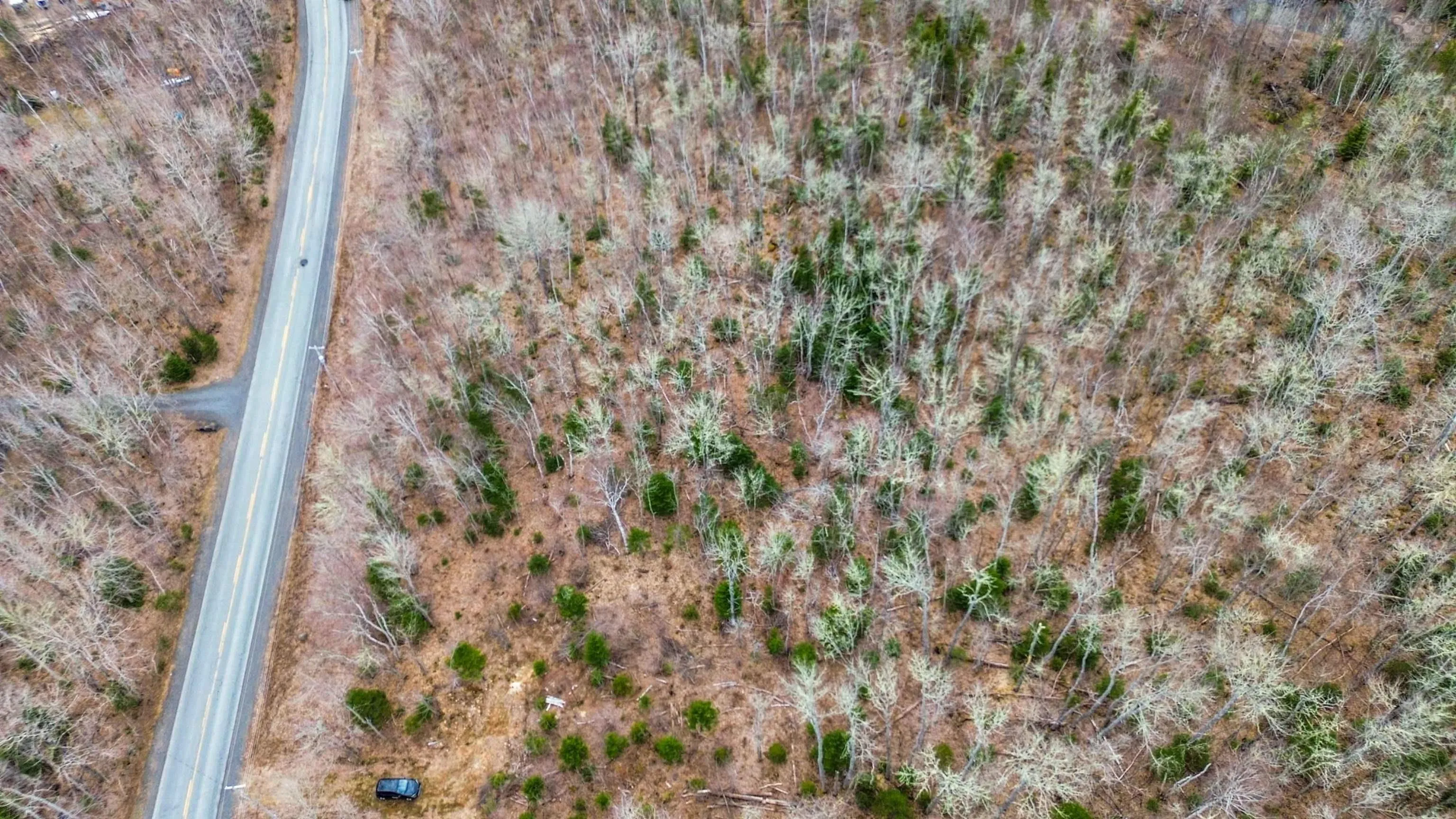 North River Road Lot 7, Aylesford Ns B0p 1c0, ,Land,For Sale,North River,202506890
