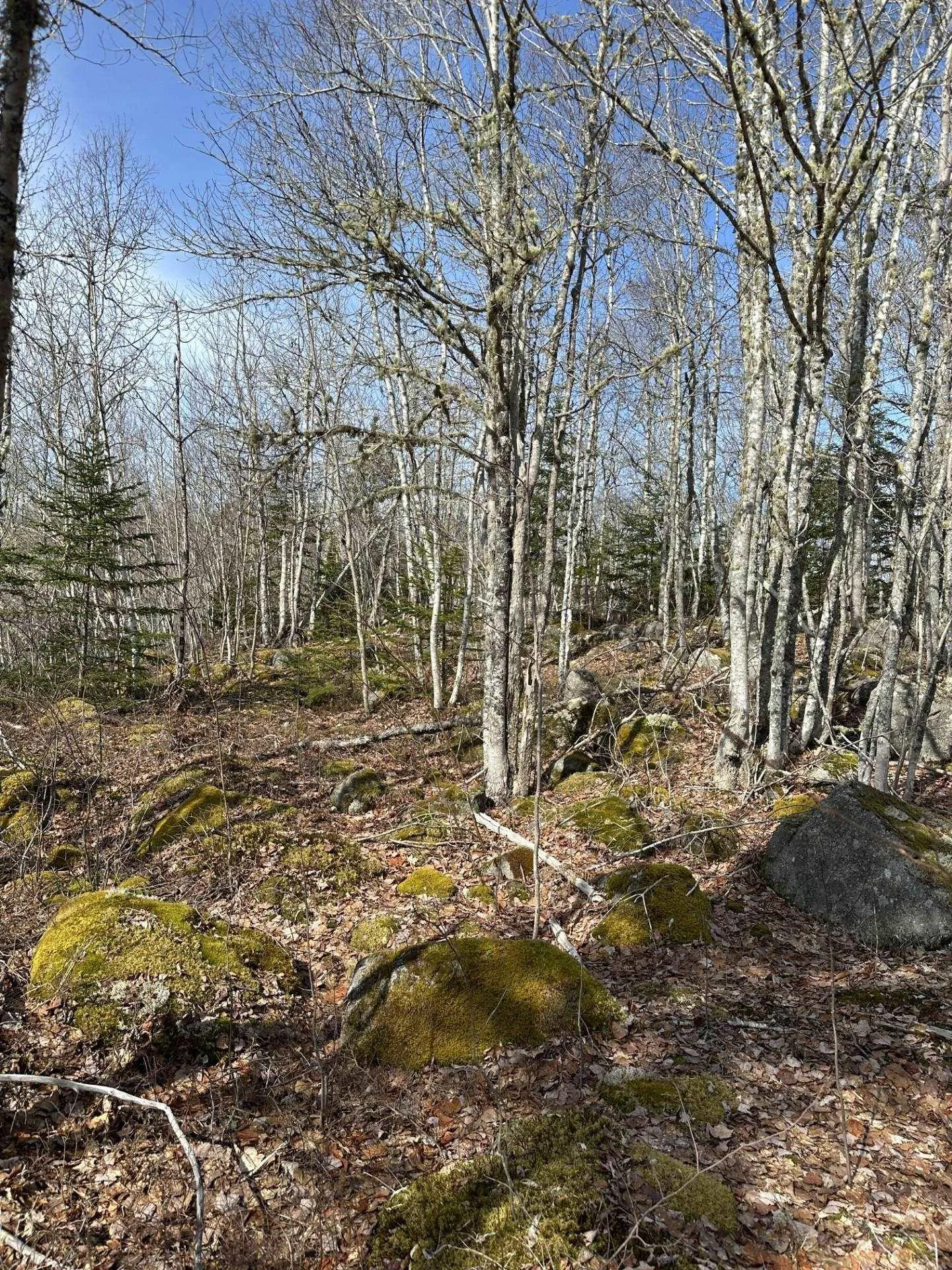 North River Road Lot 7, Aylesford Ns B0p 1c0, ,Land,For Sale,North River,202506890