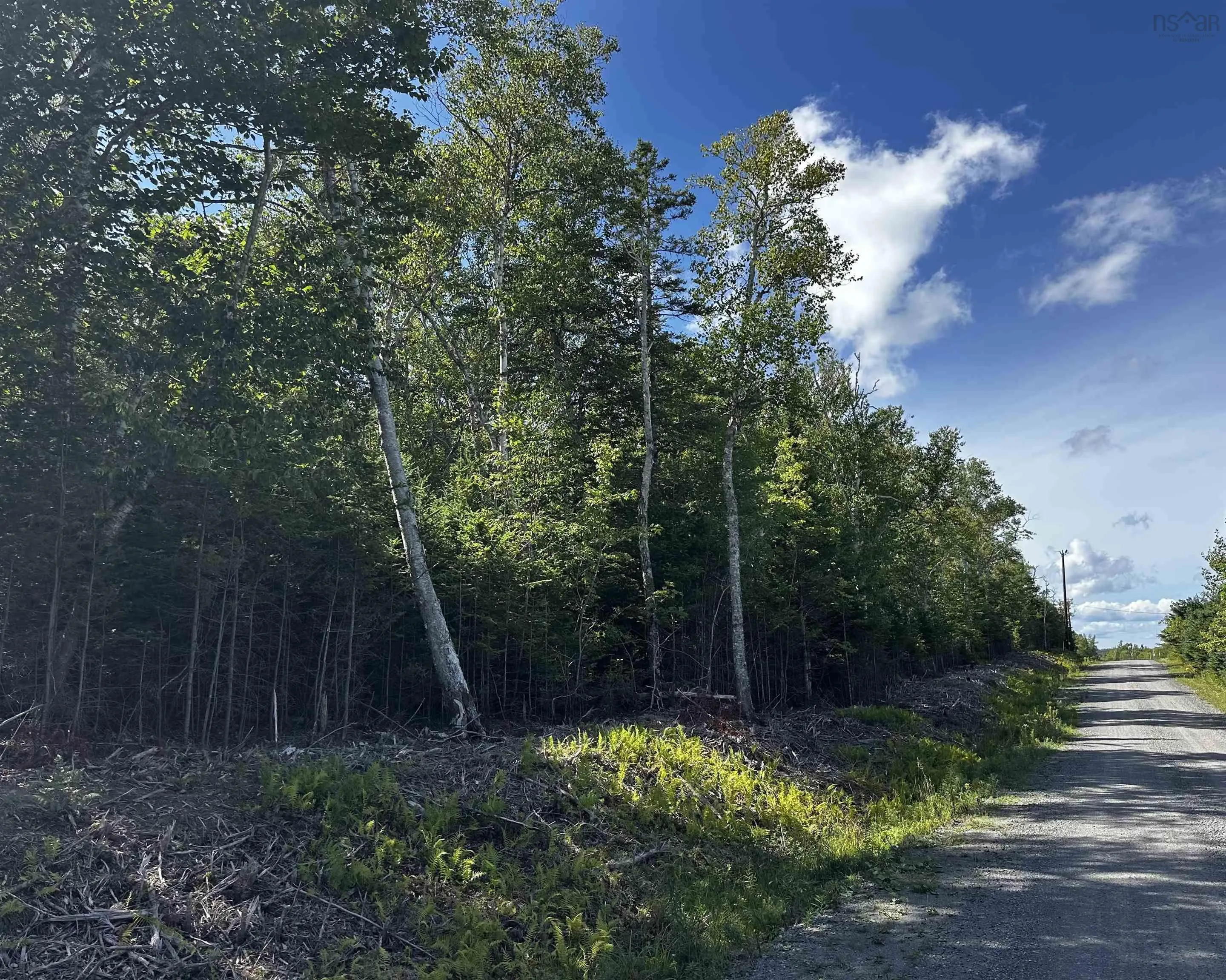 32 Wall Street, Cape George Estates, NS B0E 3B0, ,Land,For Sale,Wall,202521960