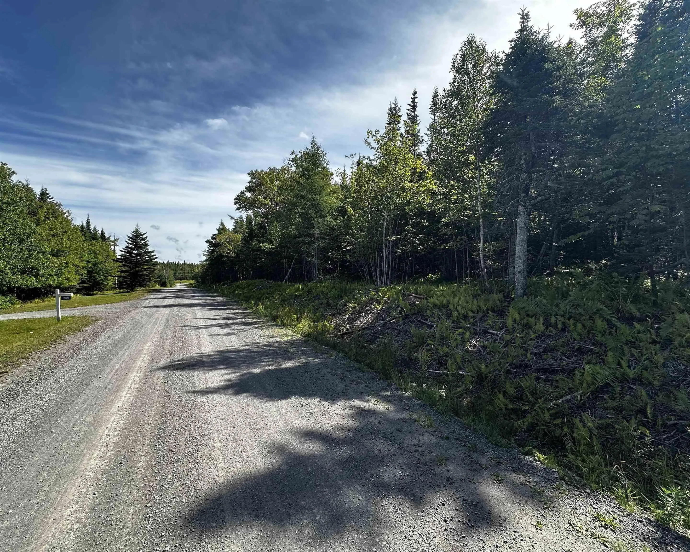 32 Wall Street, Cape George Estates, NS B0E 3B0, ,Land,For Sale,Wall,202521960
